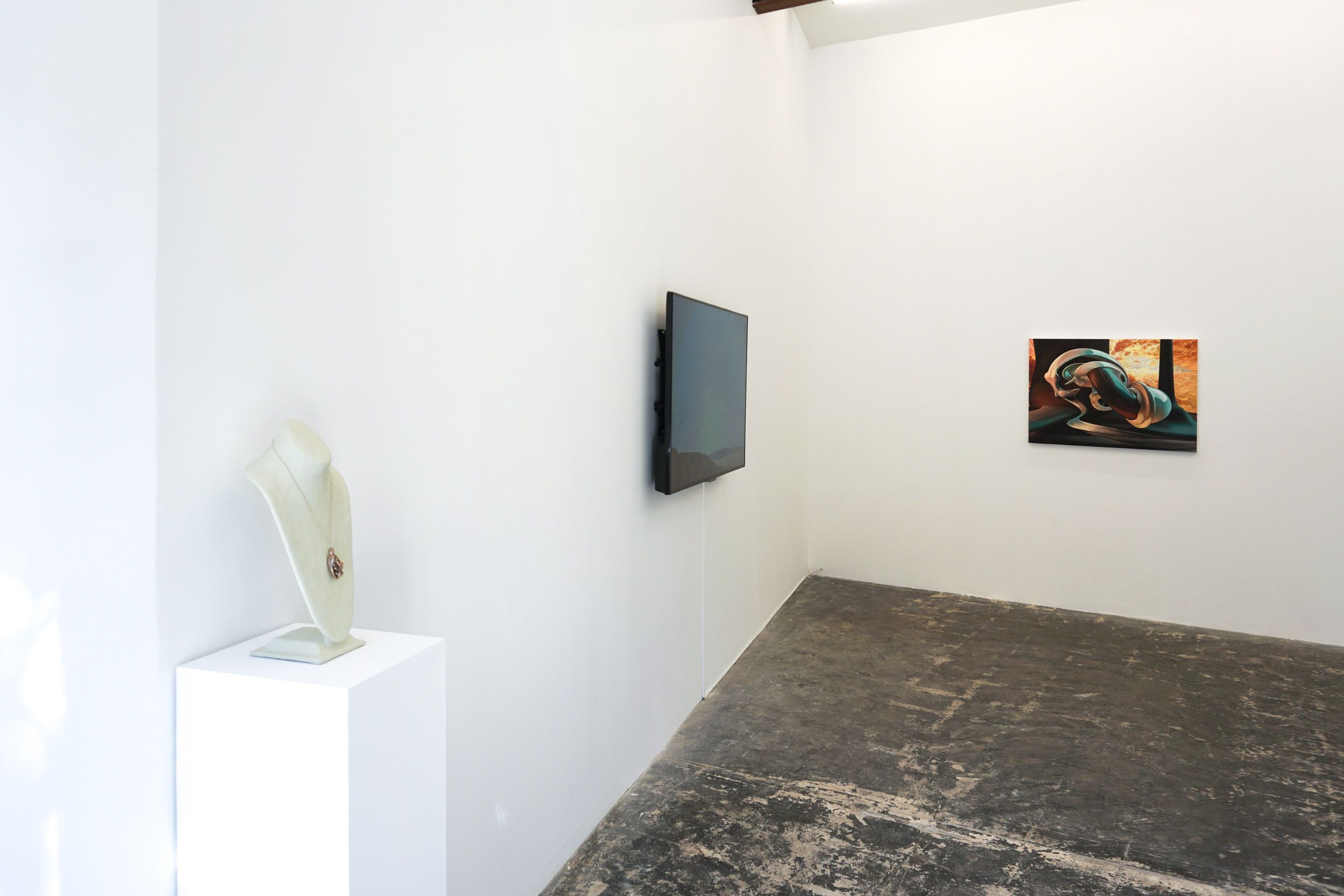  Installation view 