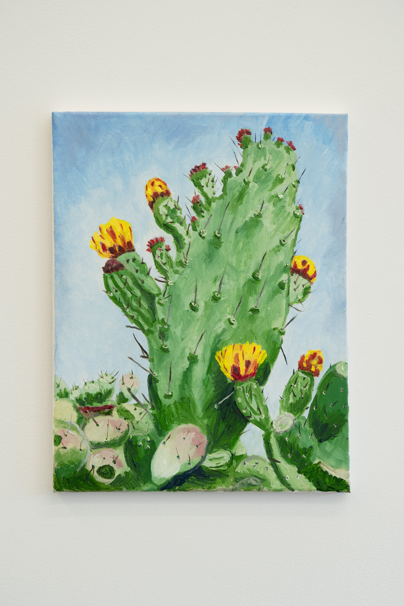  Shana Sharp  Texas Rose Cactus , 2019 Oil on canvas 14 x 11 inches 