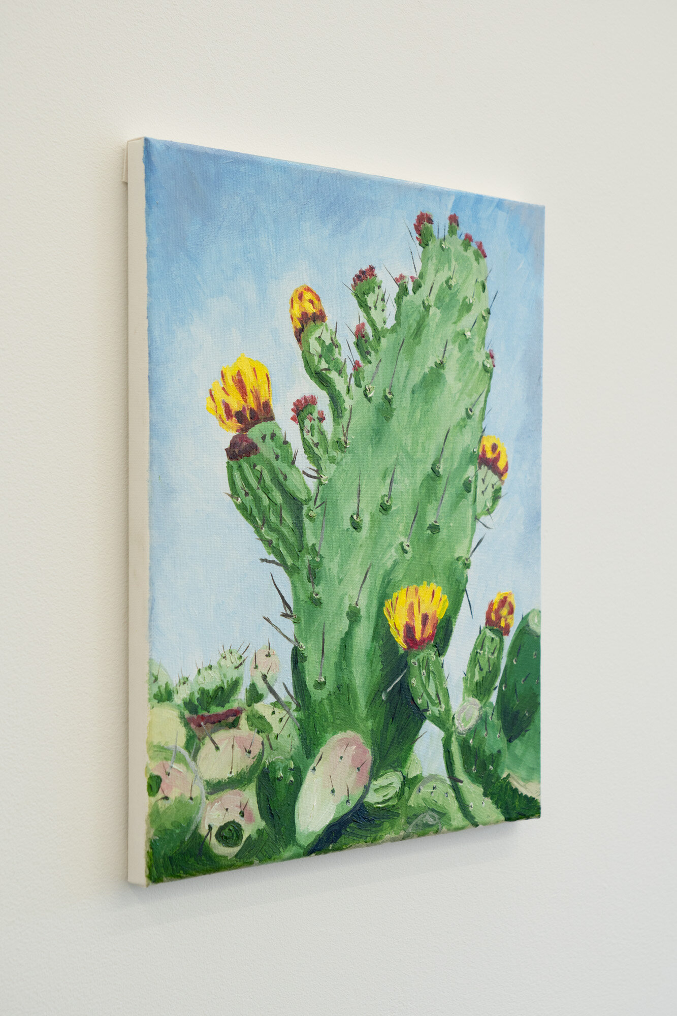  Shana Sharp  Texas Rose Cactus , 2019 Oil on canvas 14 x 11 inches 