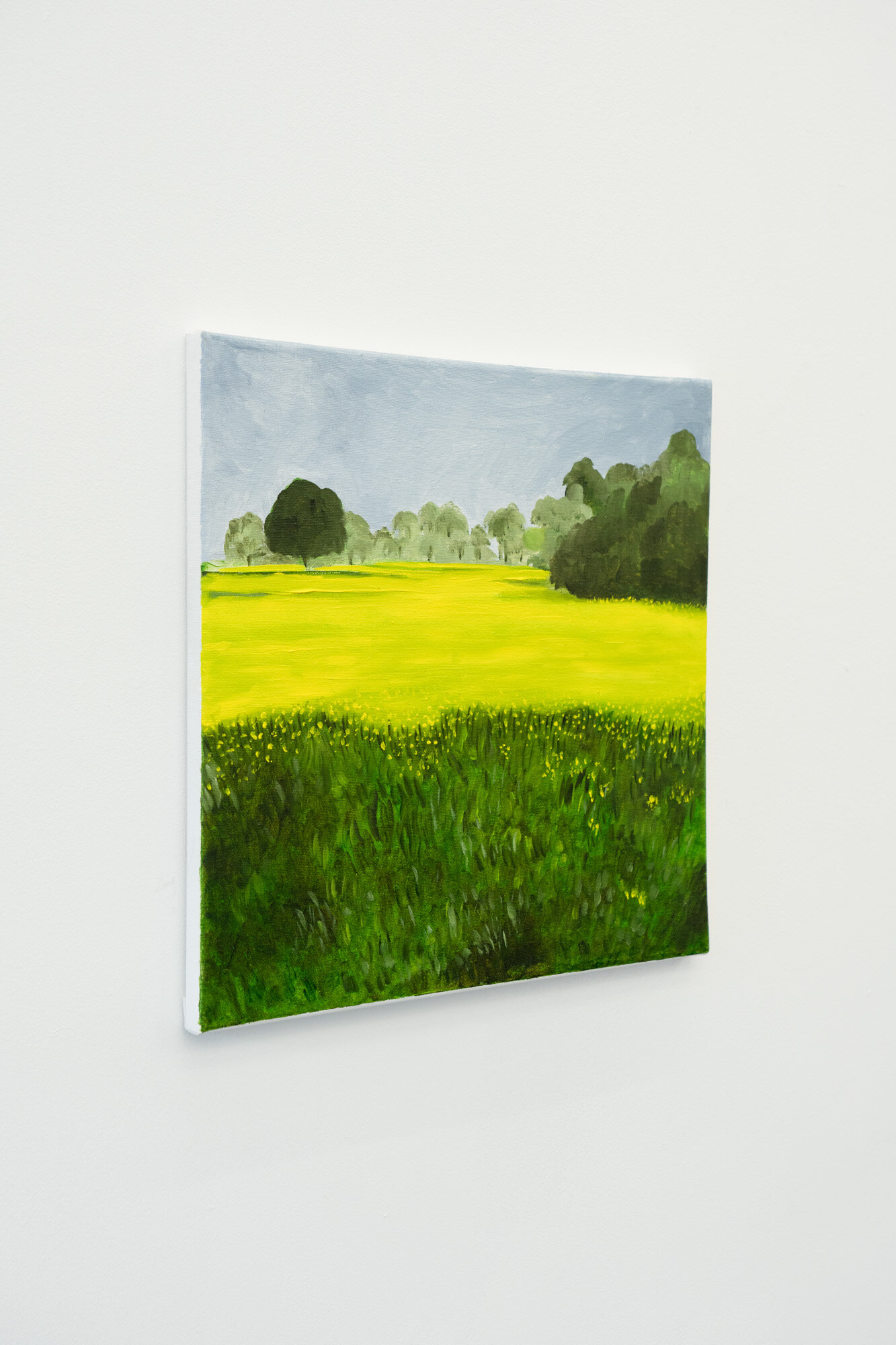  Shana Sharp  Spring Meadow , 2019 Oil on canvas 14 x 14 inches 
