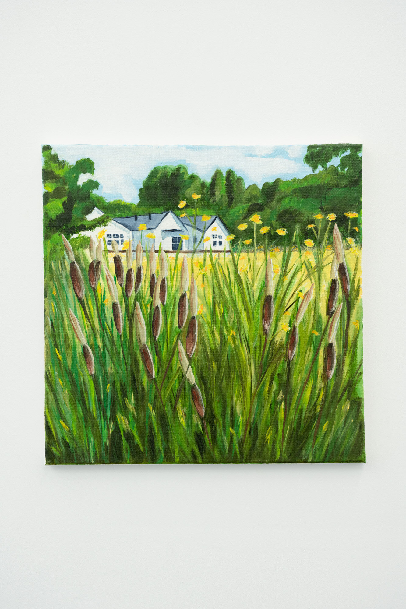  Shana Sharp  Cat Tails , 2019 Oil on canvas 14 x 14 inches 