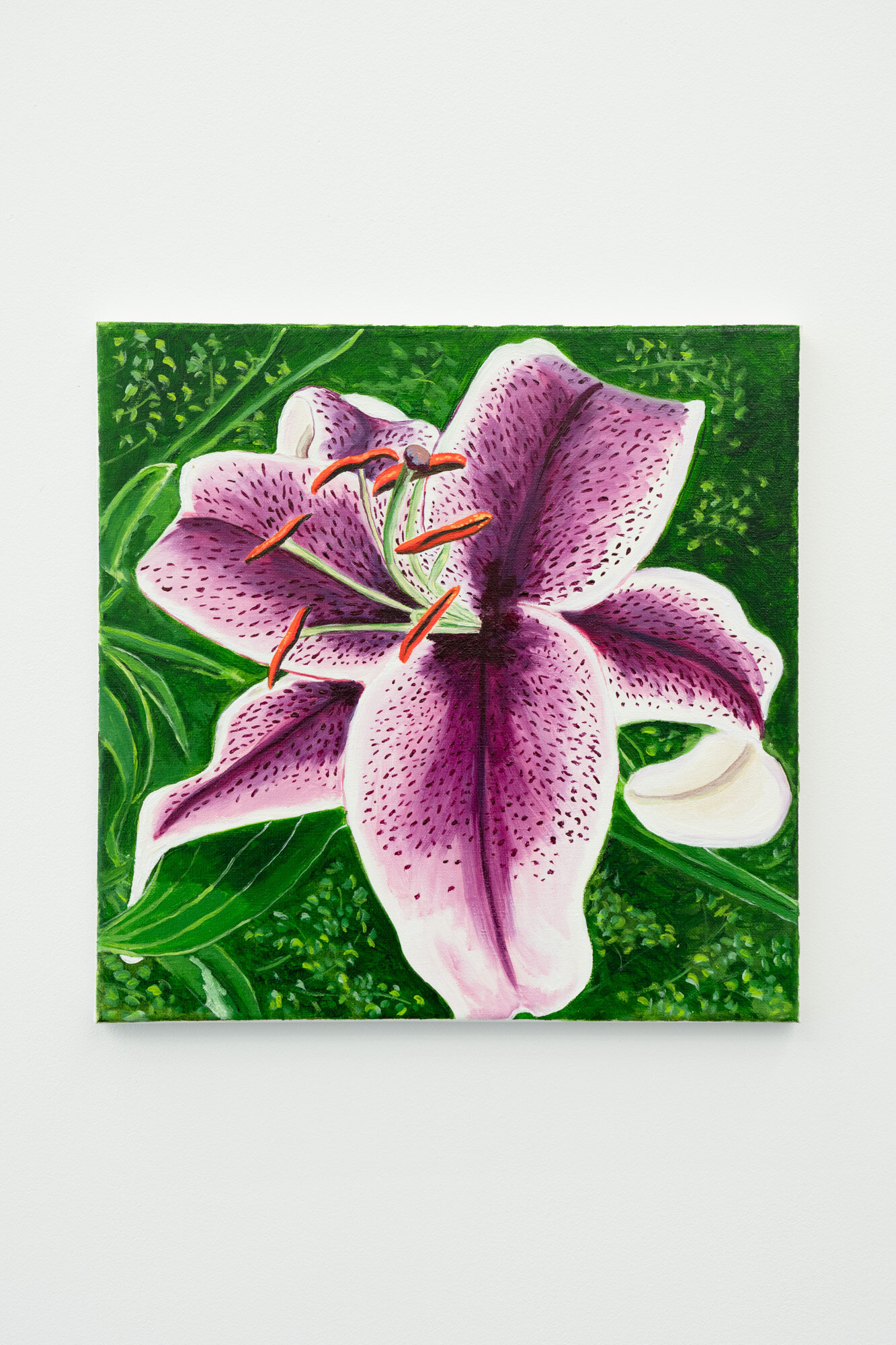  Shana Sharp  Violet Star Gazer Lily , 2019 Oil on canvas 14 x 14 inches 