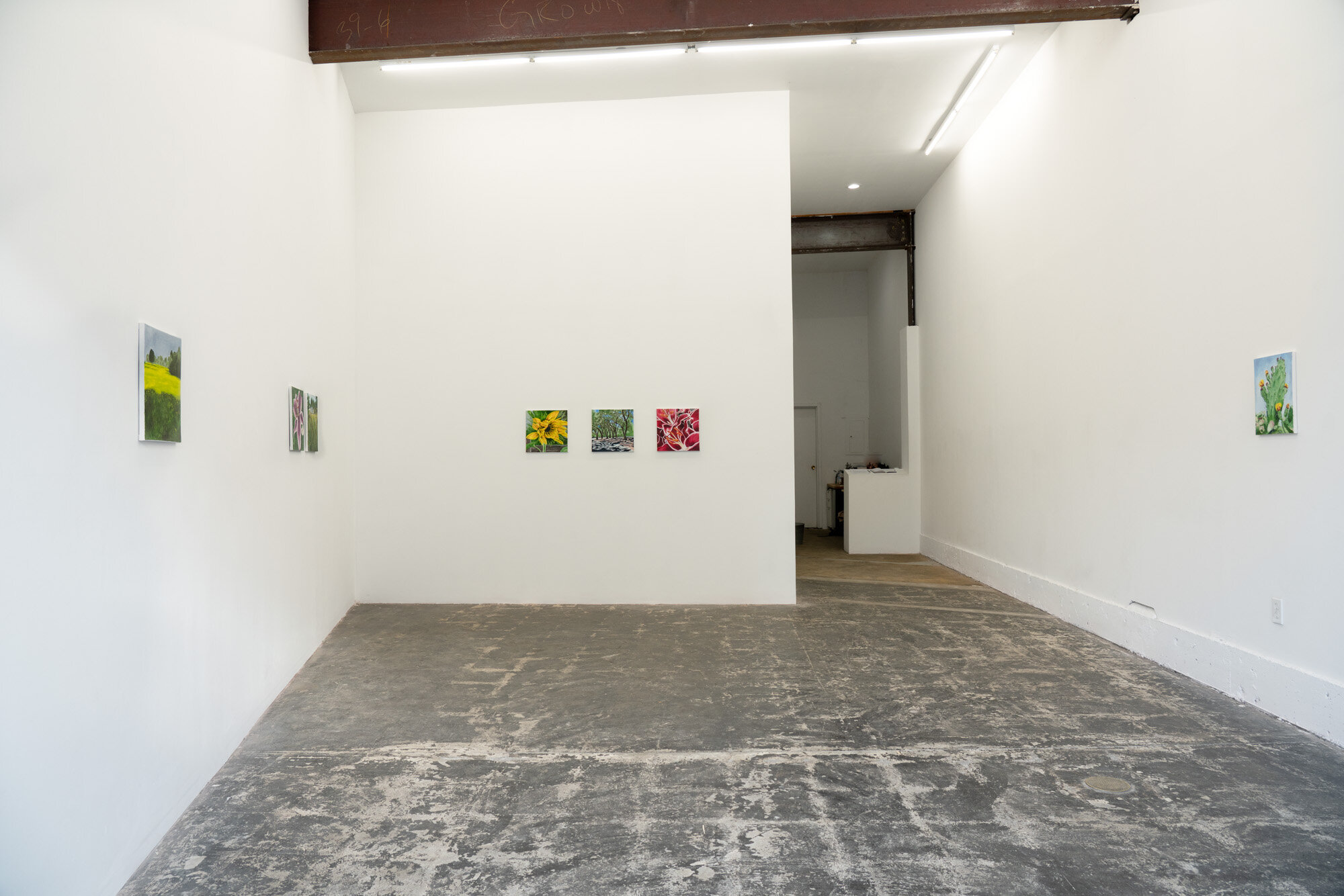  Installation view 