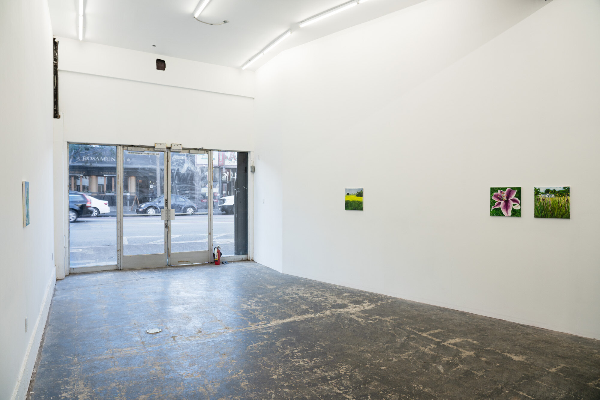  Installation view 