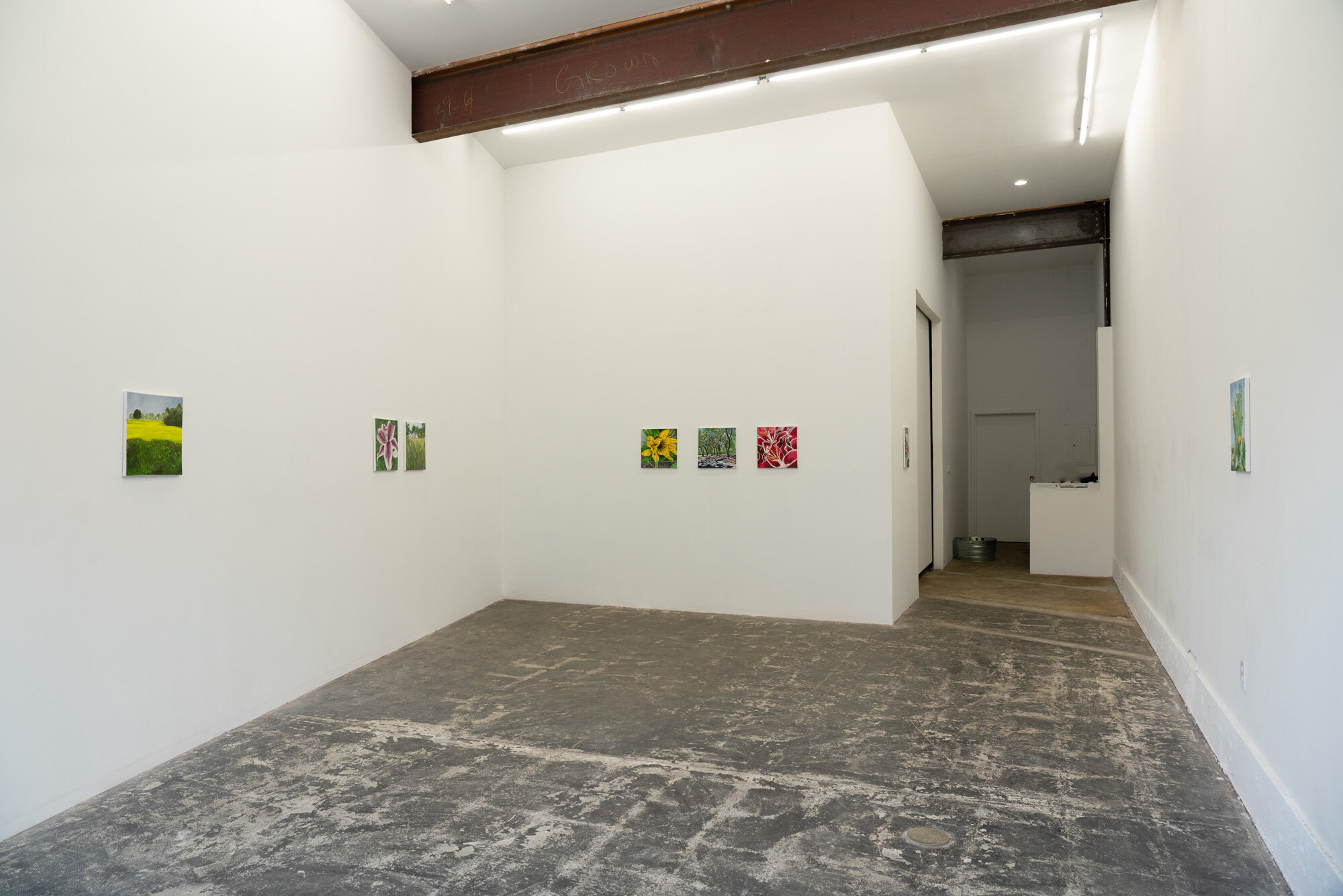  Installation view 