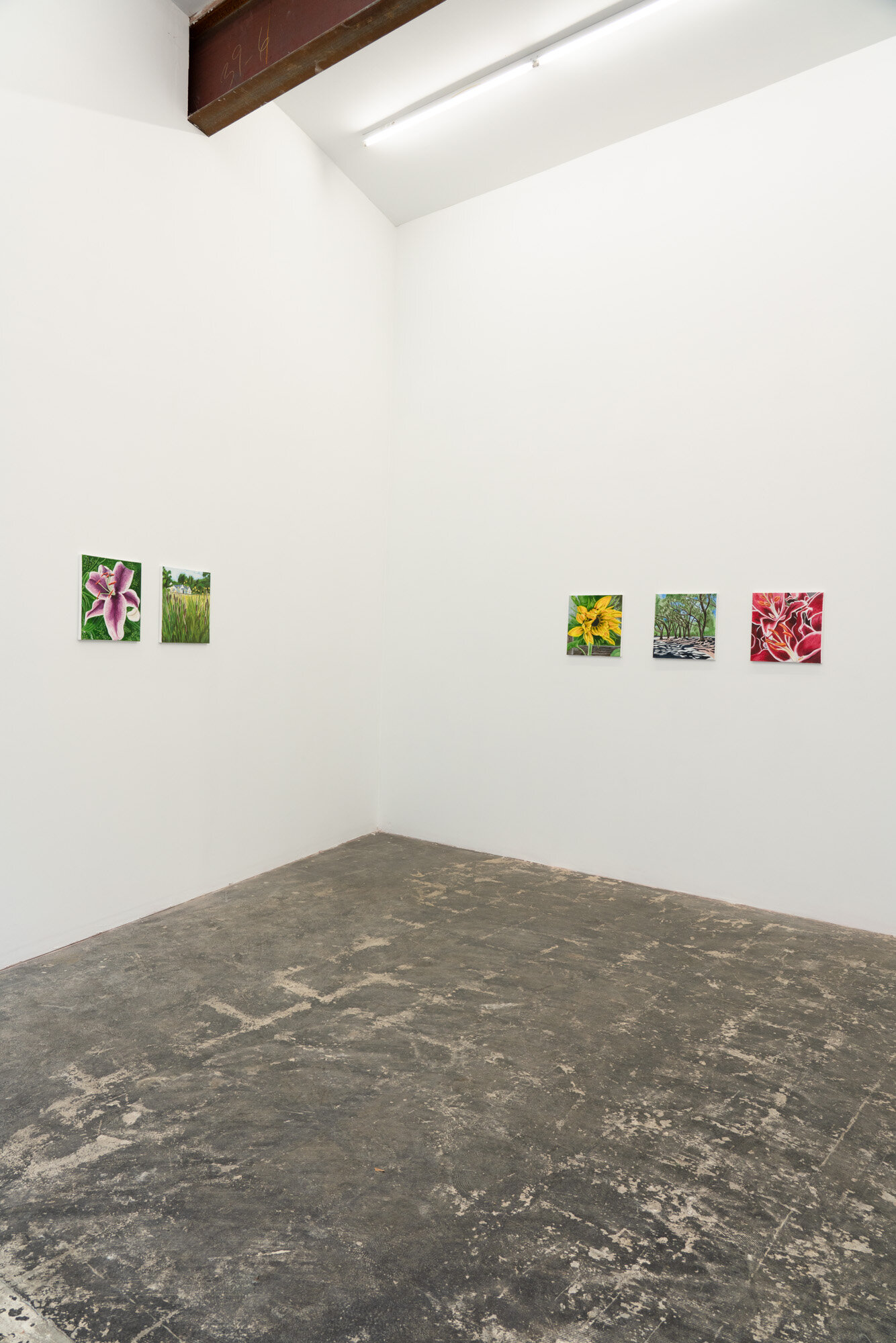  Installation view 