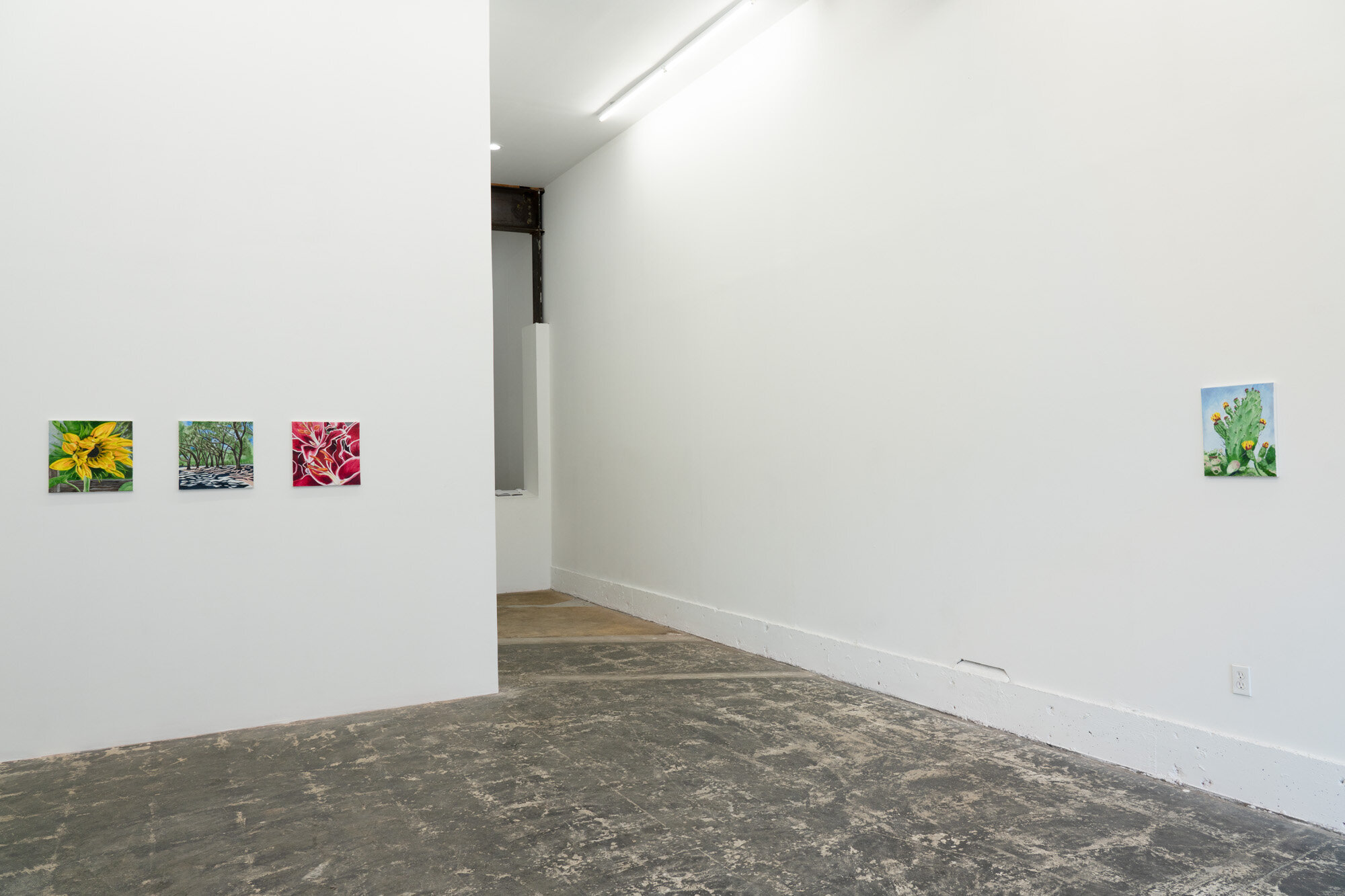  Installation view 