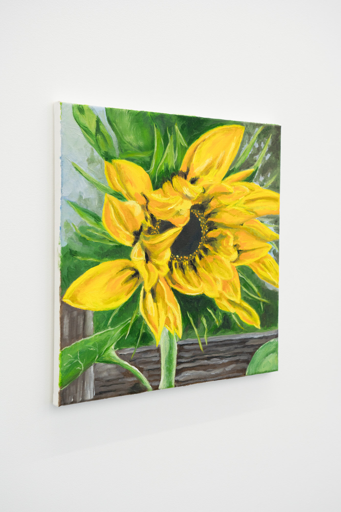  Shana Sharp  Mammoth Sunflower , 2019 Oil on canvas 14 x 14 inches 