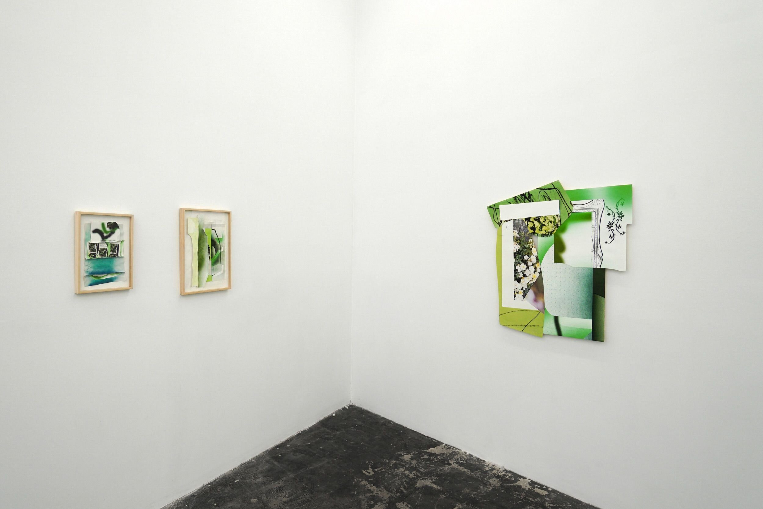  Installation view 