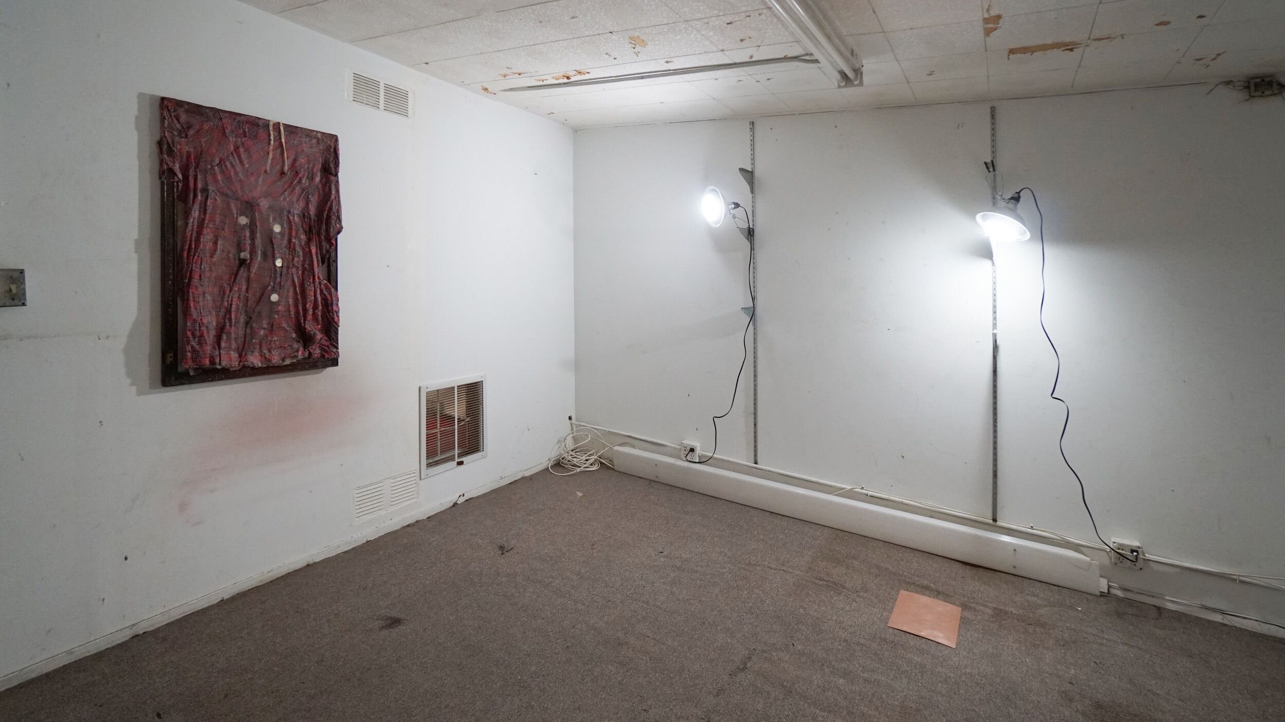  Cole Lu &amp; Bri Williams - Installation view 