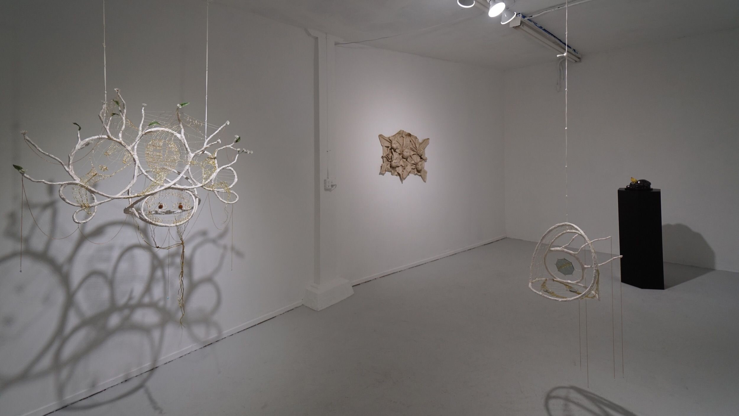  Mindy Rose Schwartz - Installation view 