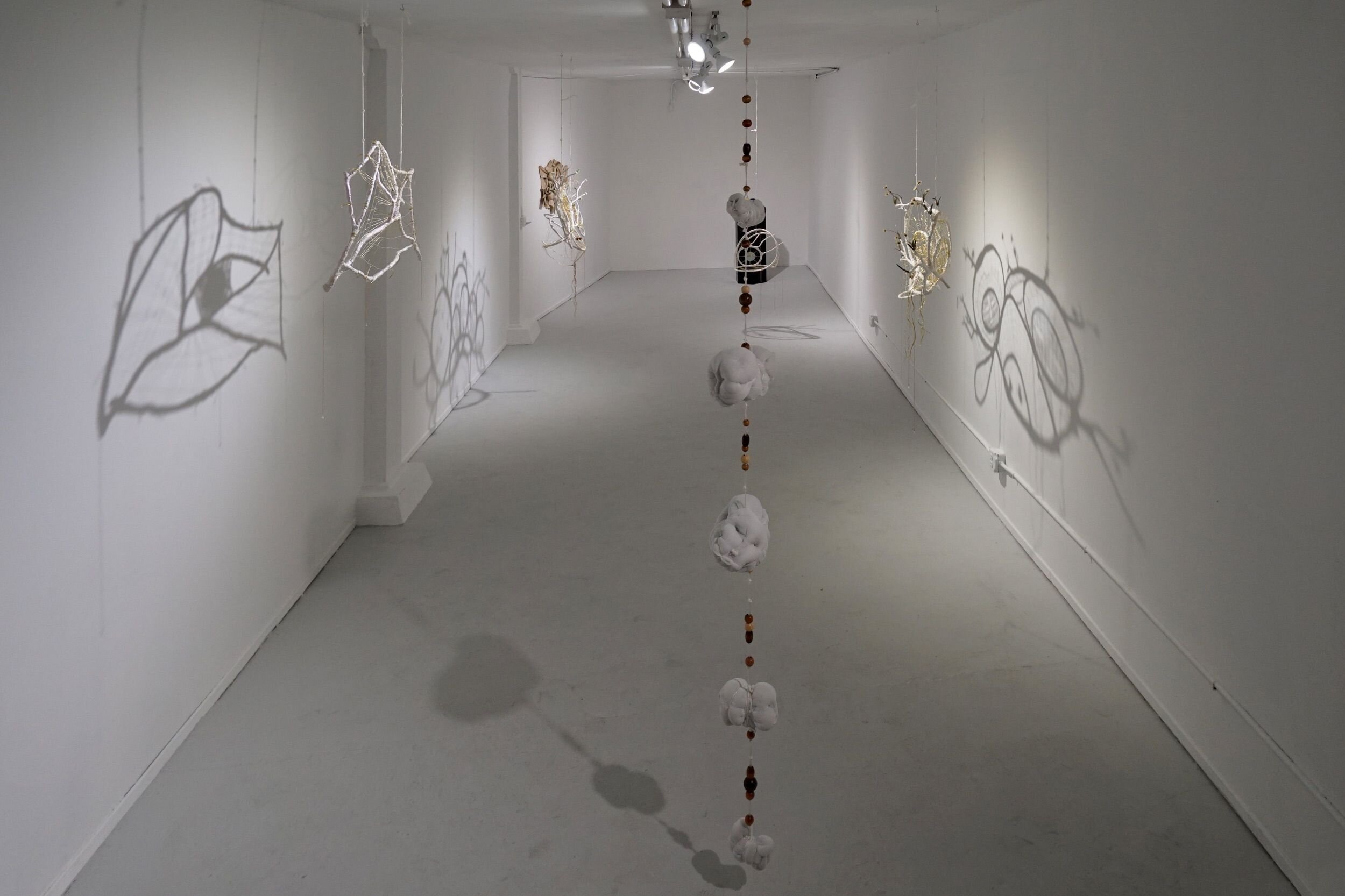  Mindy Rose Schwartz - Installation view 