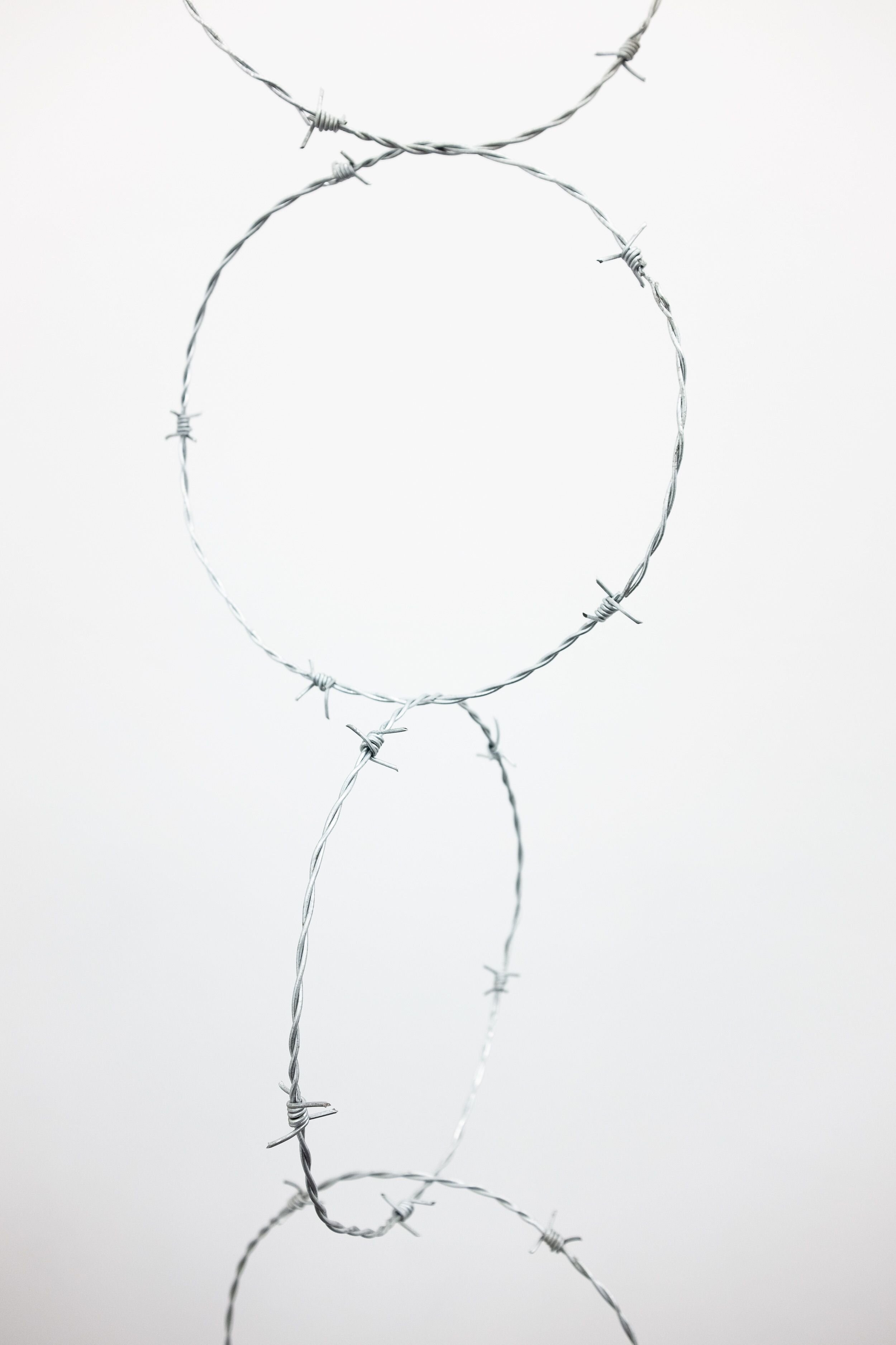 Hugo Montoya, 'Devil's Rope' 2021, wire (detail)