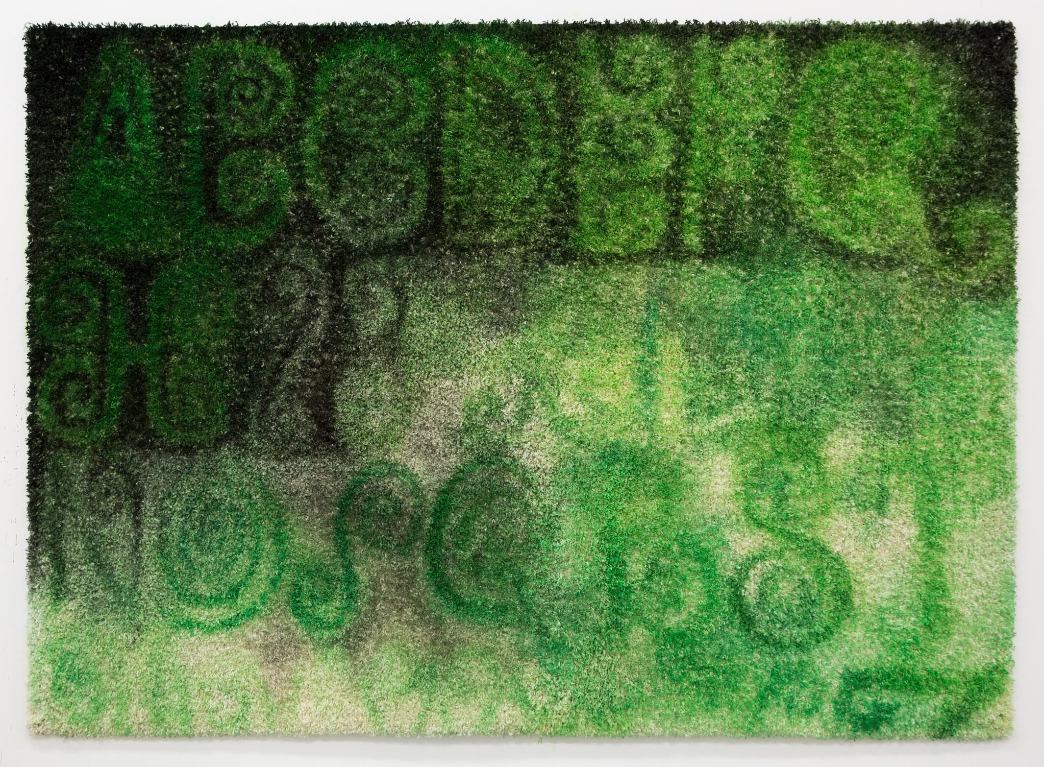 Brook Hsu, the law of names, 2019 Ink and acrylic on carpet. 60 x 84 in 152.4 x 213.4 cm