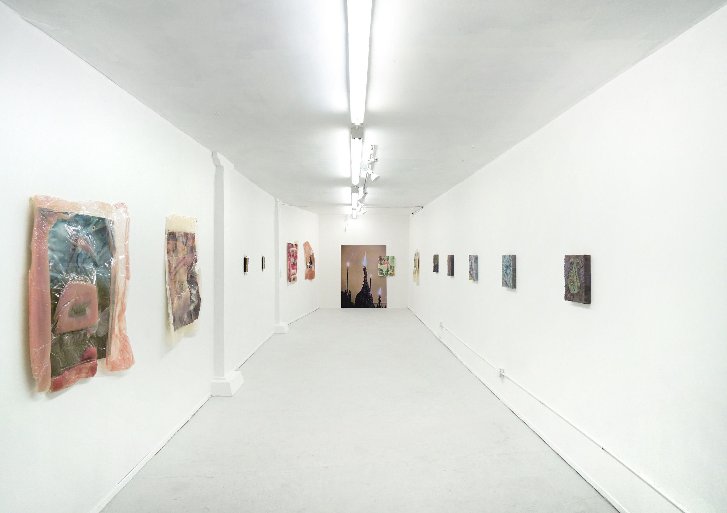 Gutz, installation view.