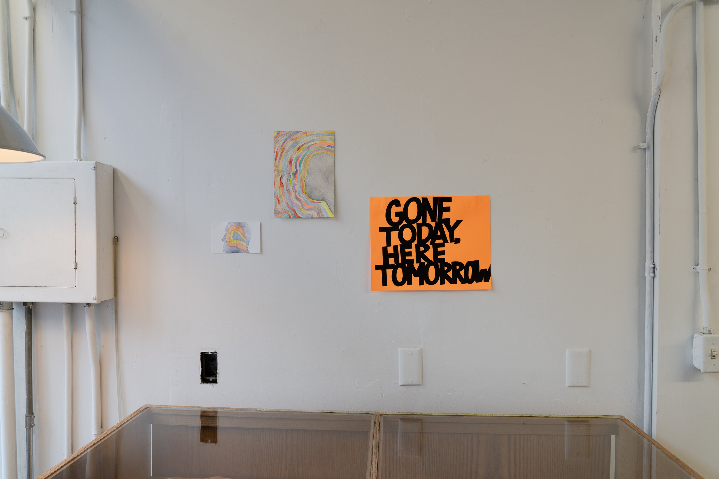 Installation view