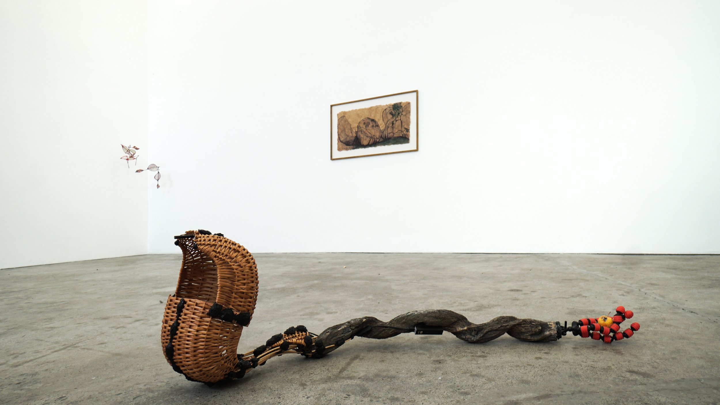  Installation view 