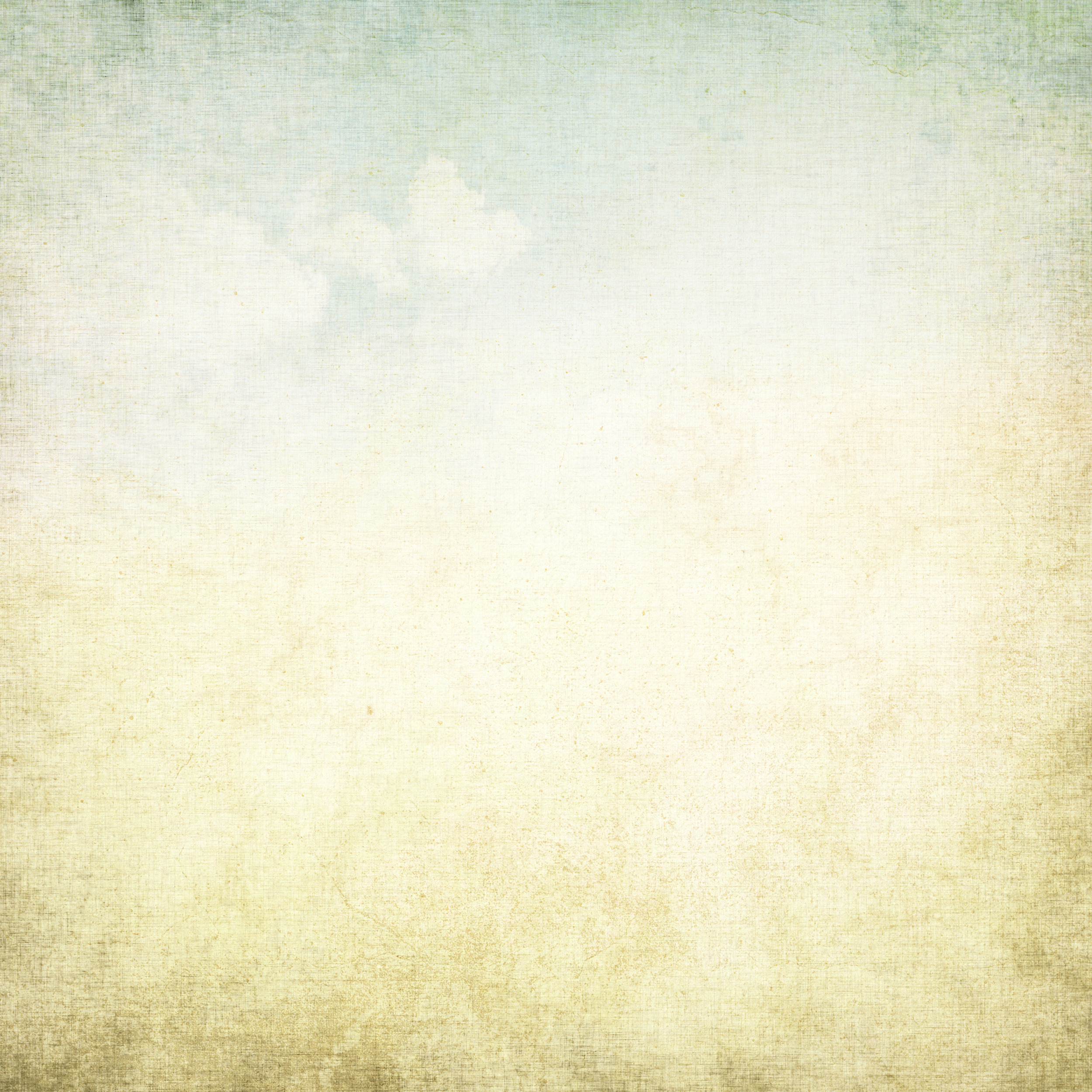 Papillon_Background.jpg