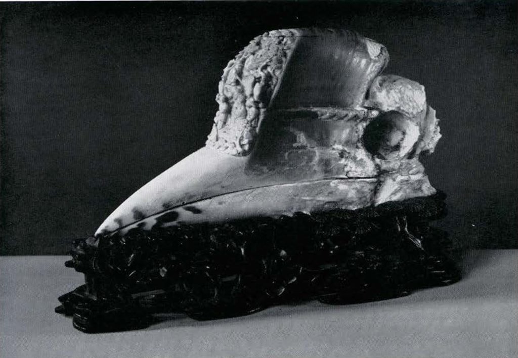 horn01.jpg
