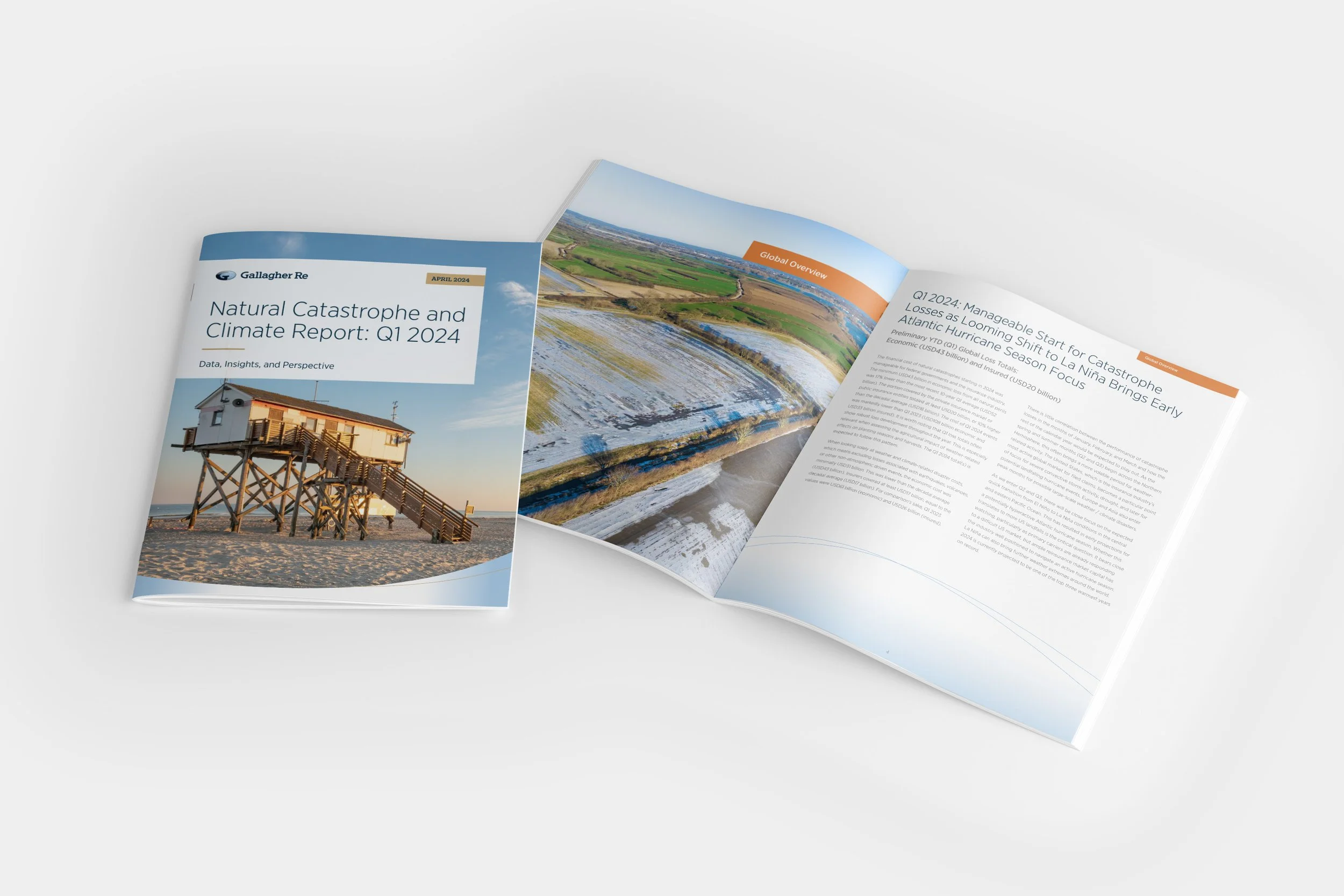 Nat Cat Mockup_1.jpg