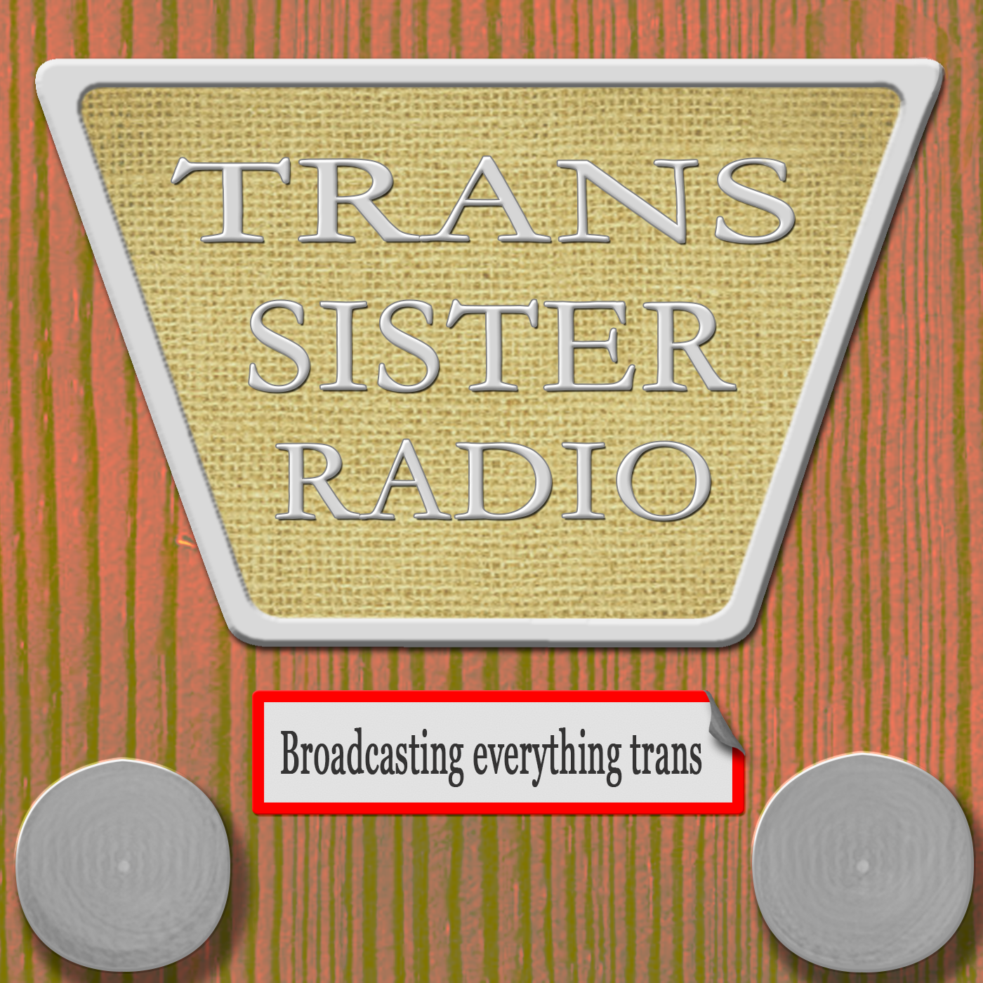 Episode 4: Dealing with Society episode artwork