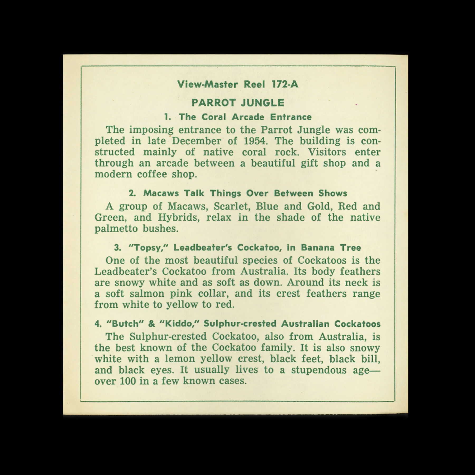 booklet03.jpg