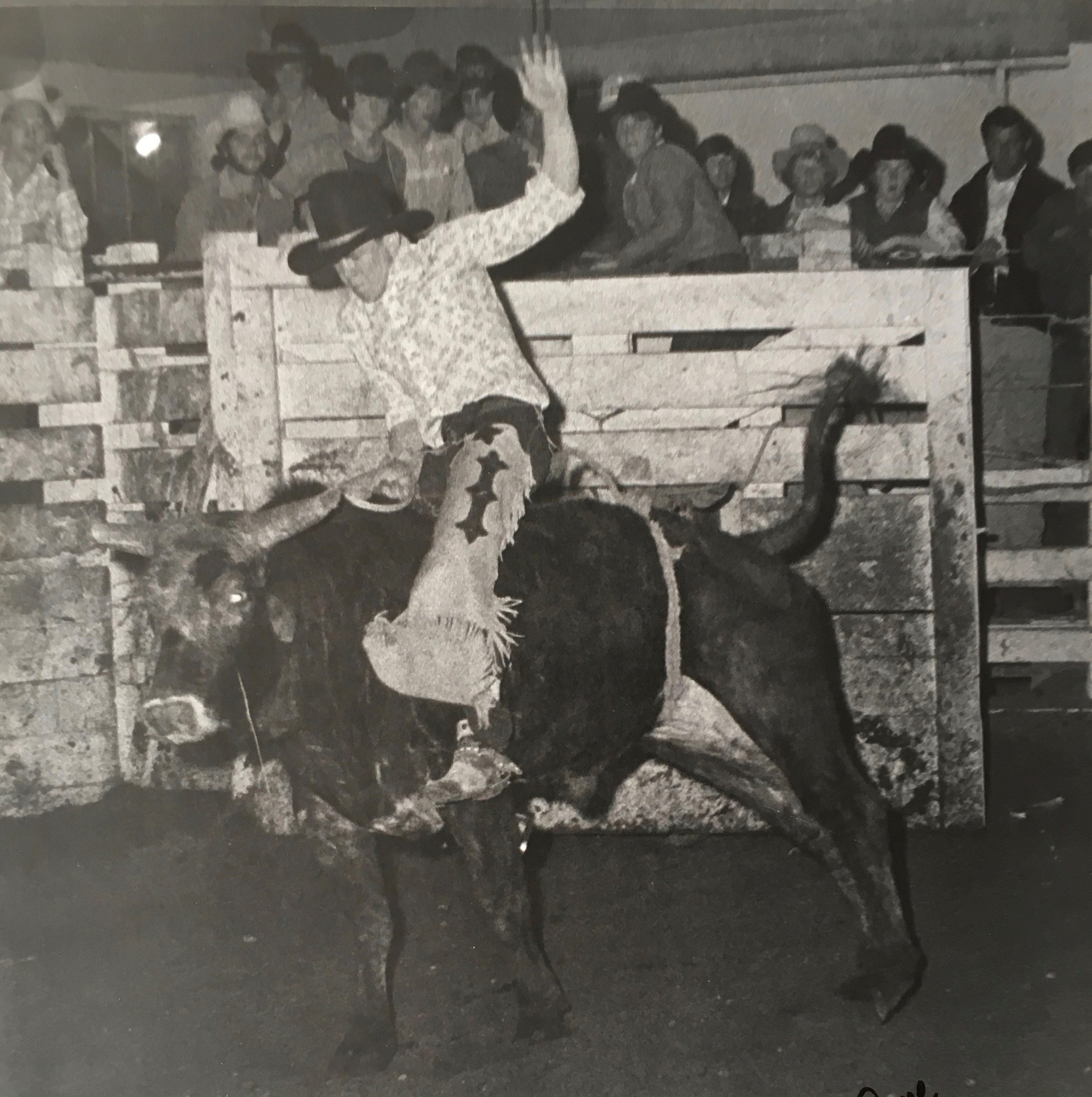 Bull Rider.jpg