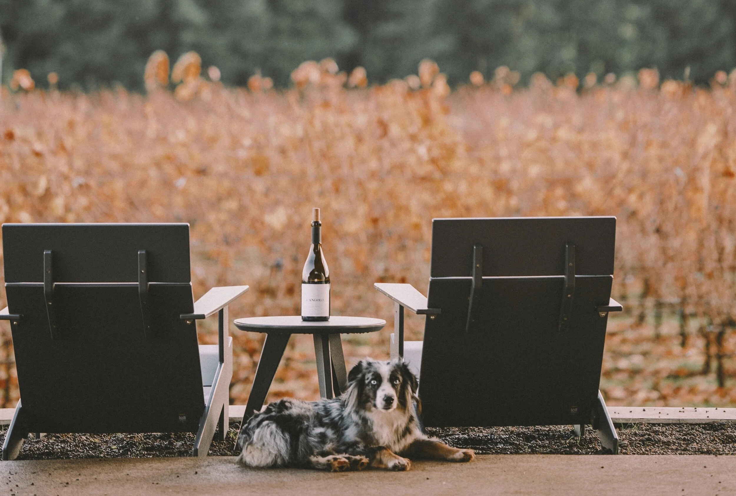 Just Help Them Remember