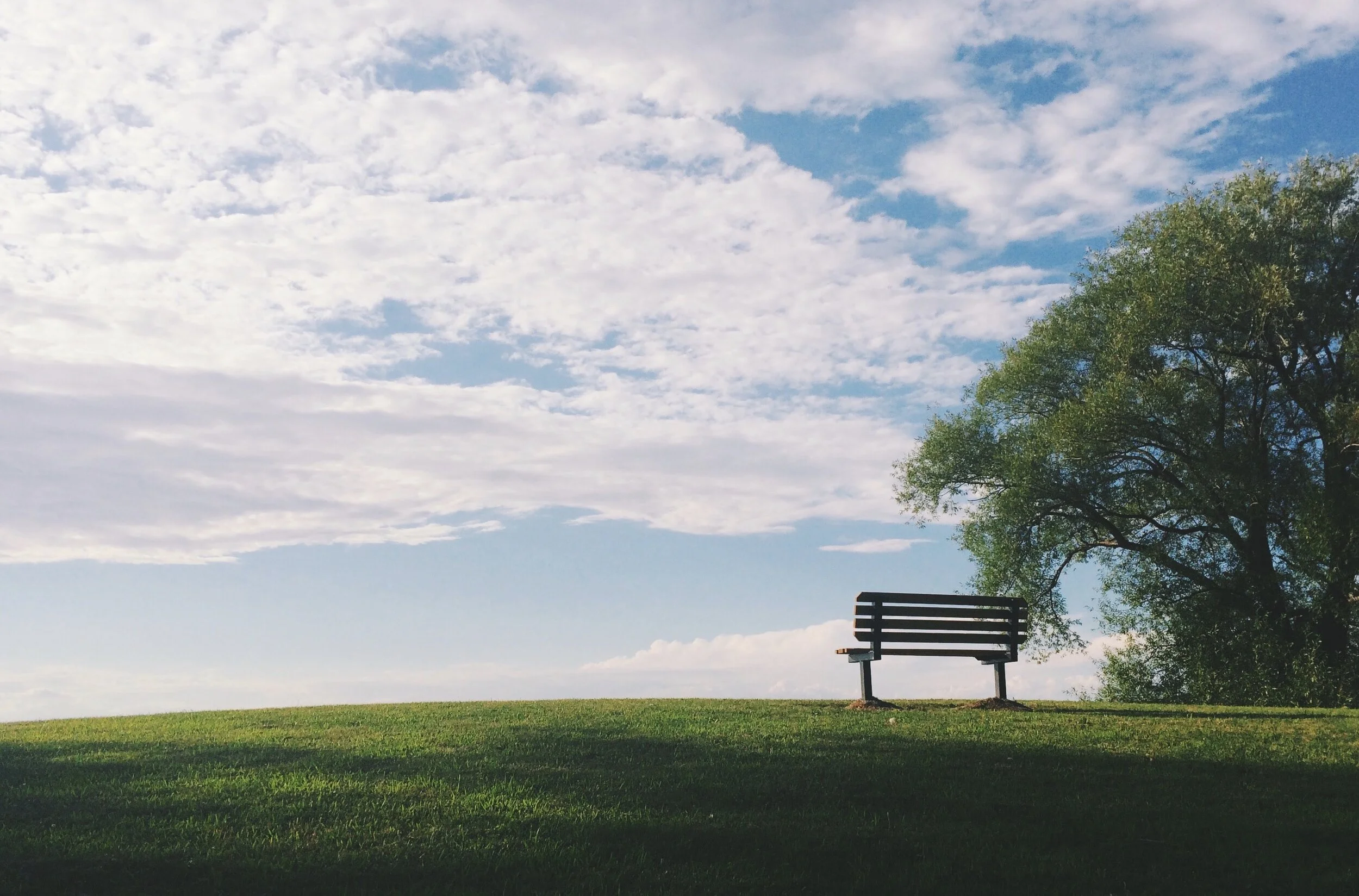 Empathy Makes Us One