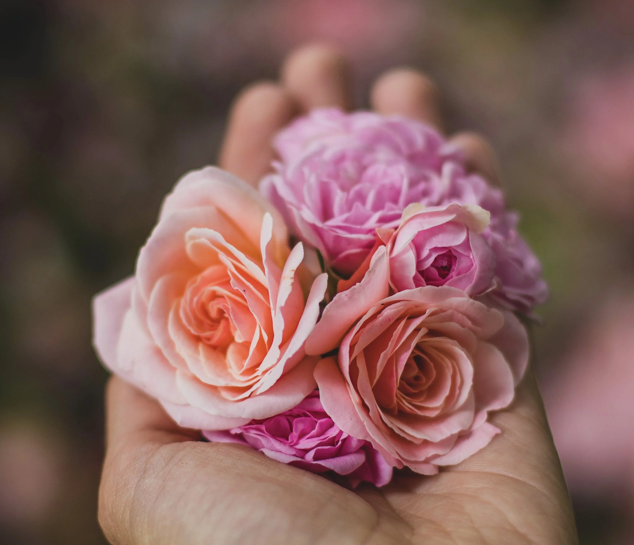 The Measure of Our Creation