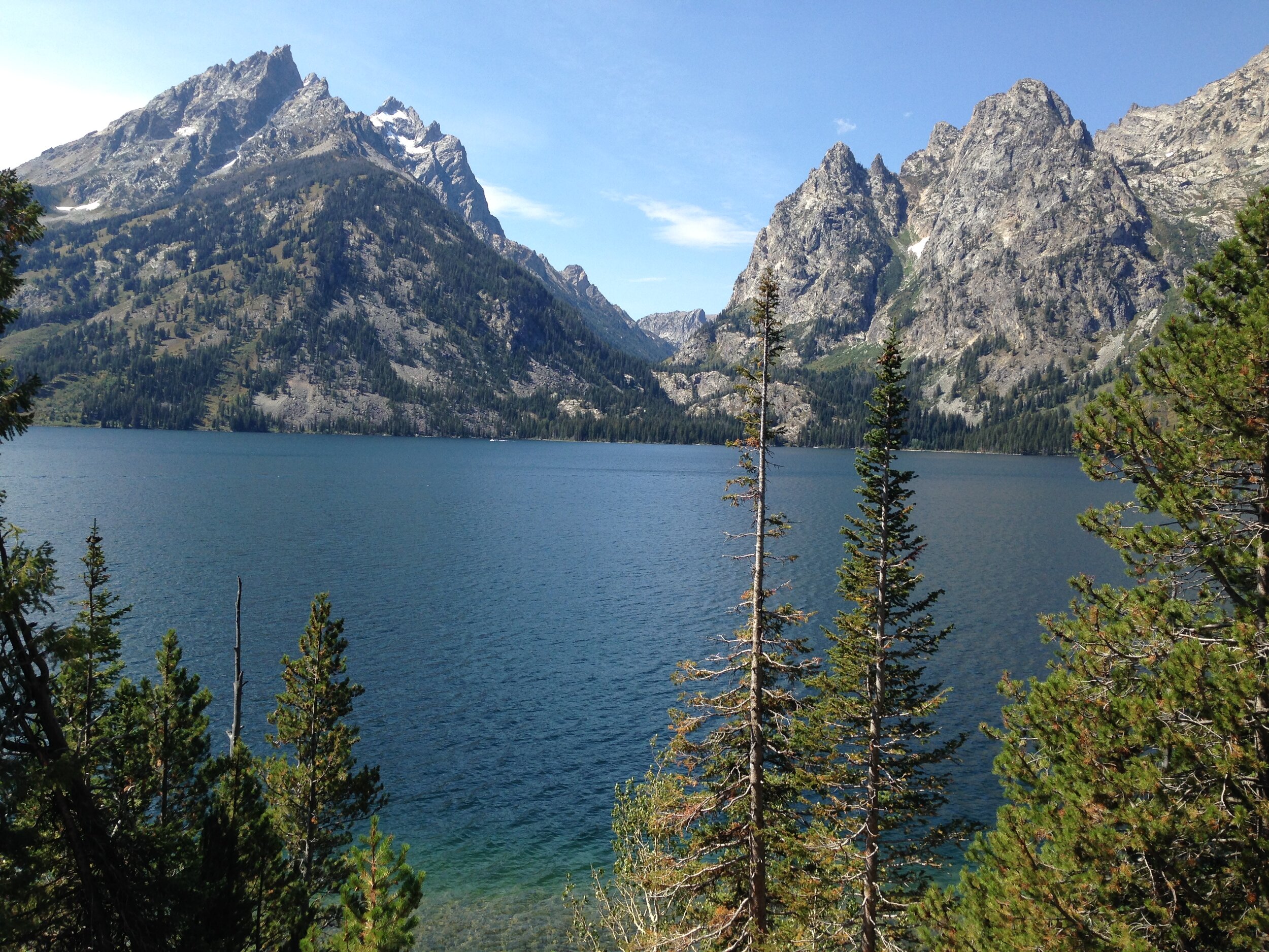 Your Faith is Your Wholeness