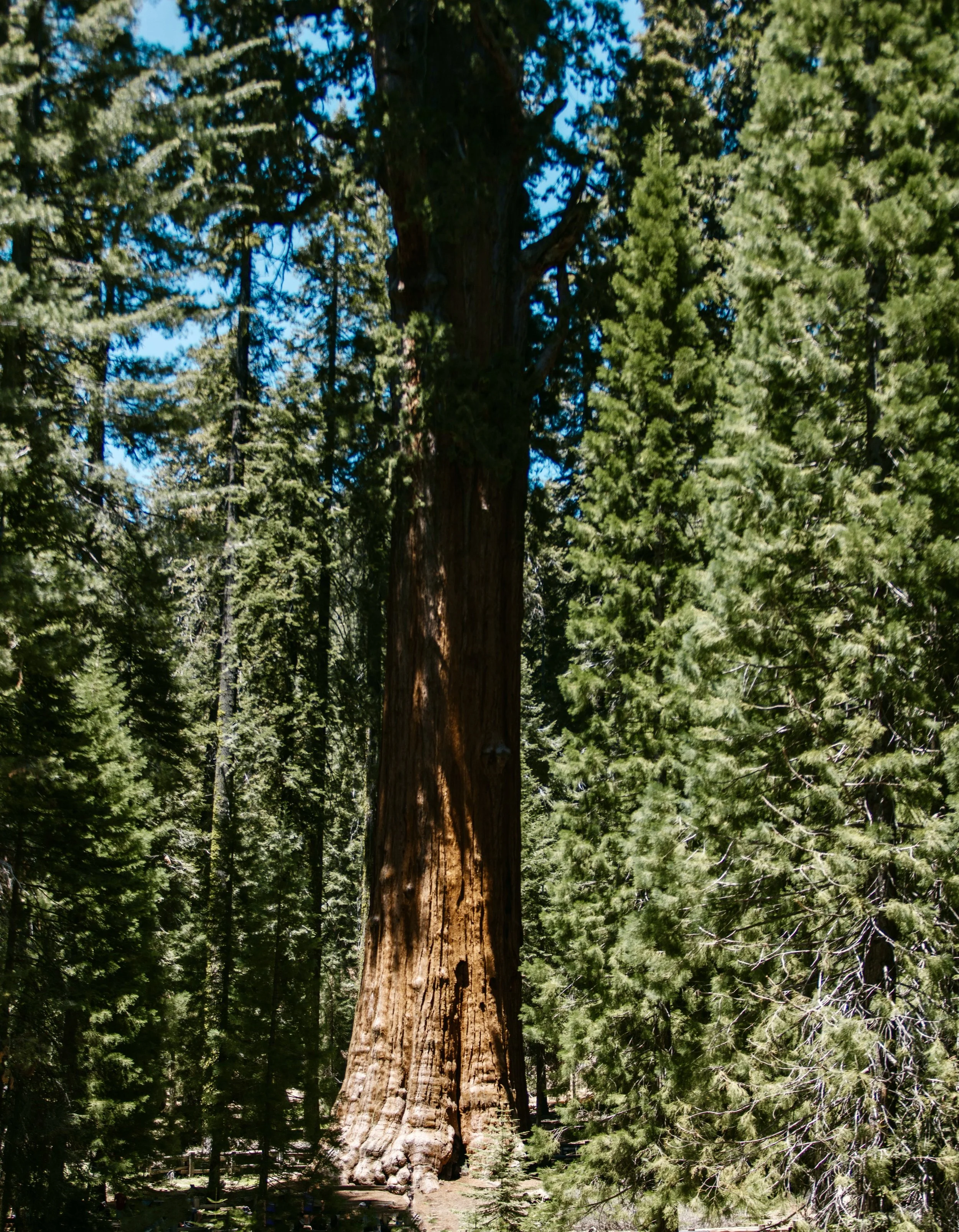 Divine Love is Everywhere