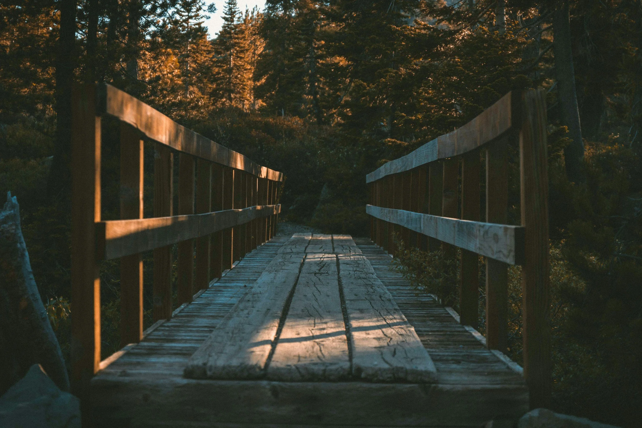 unsplash-image-ynI9j89vSiM.jpg