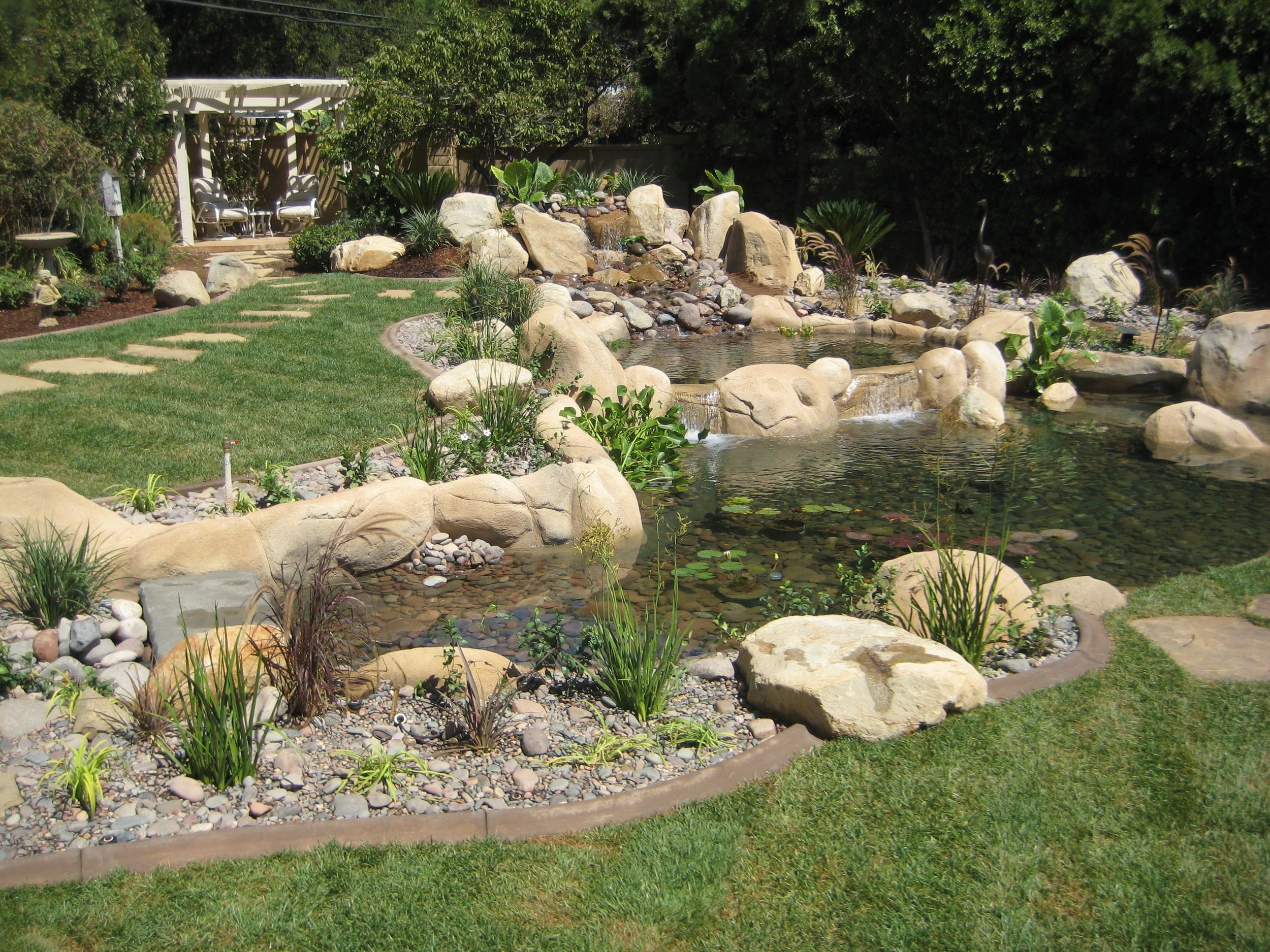 witte pond.jpg