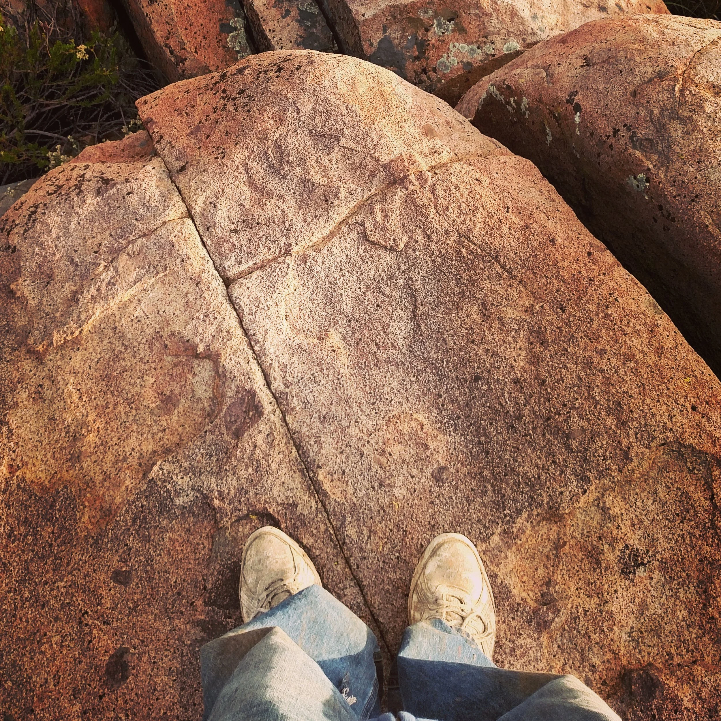 What's YOUR Next Step?