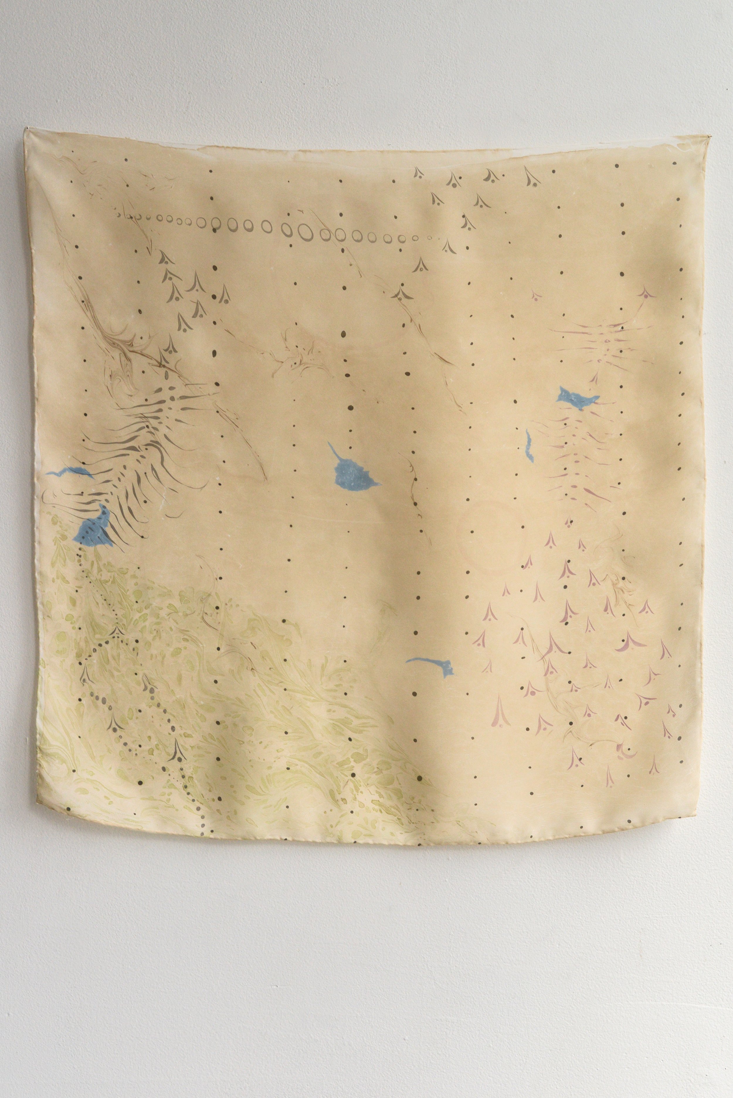 Shirazi Sectional Chart: Land Notation, 2025