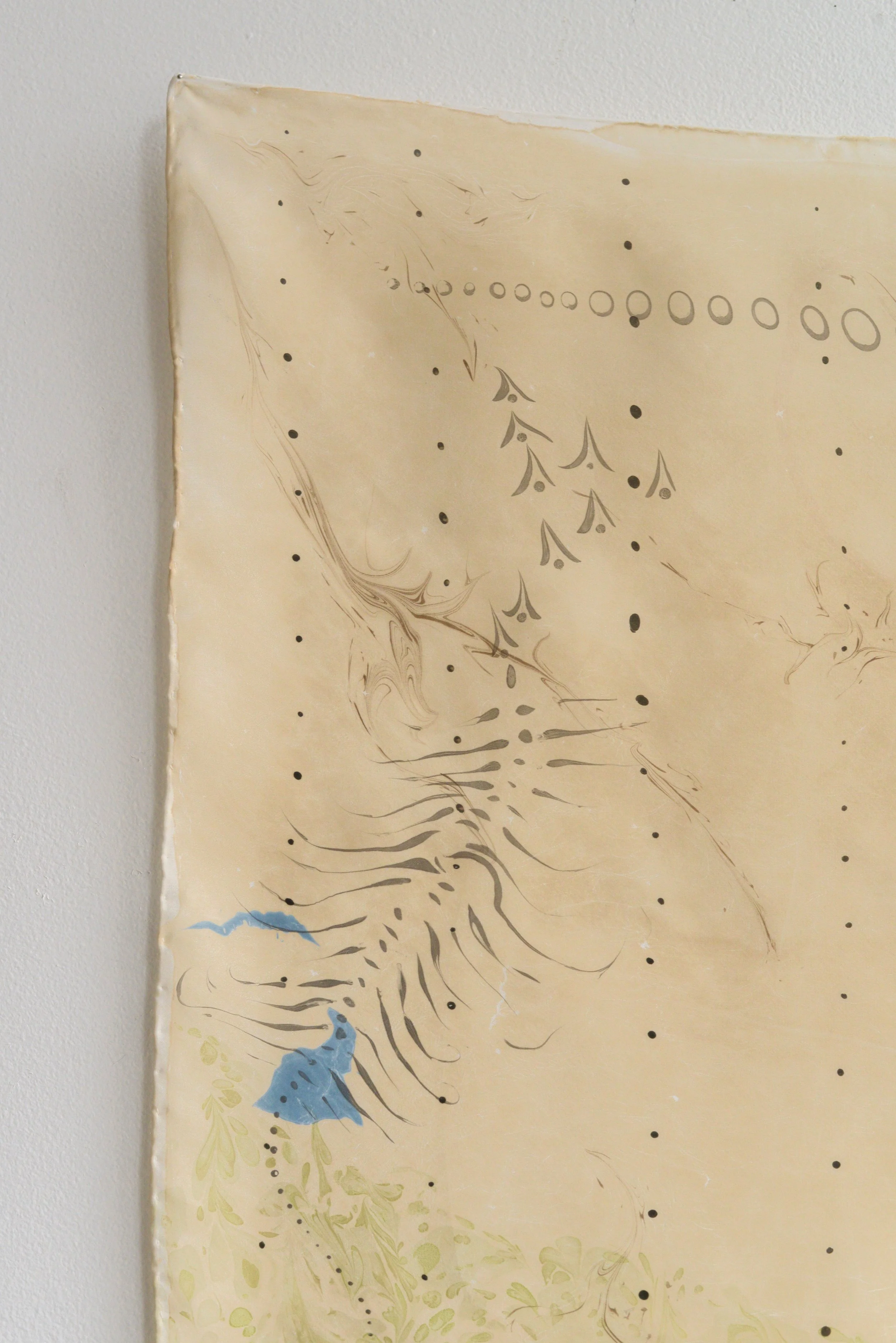 Detail: Shirazi Sectional Chart: Land Notation, 2025