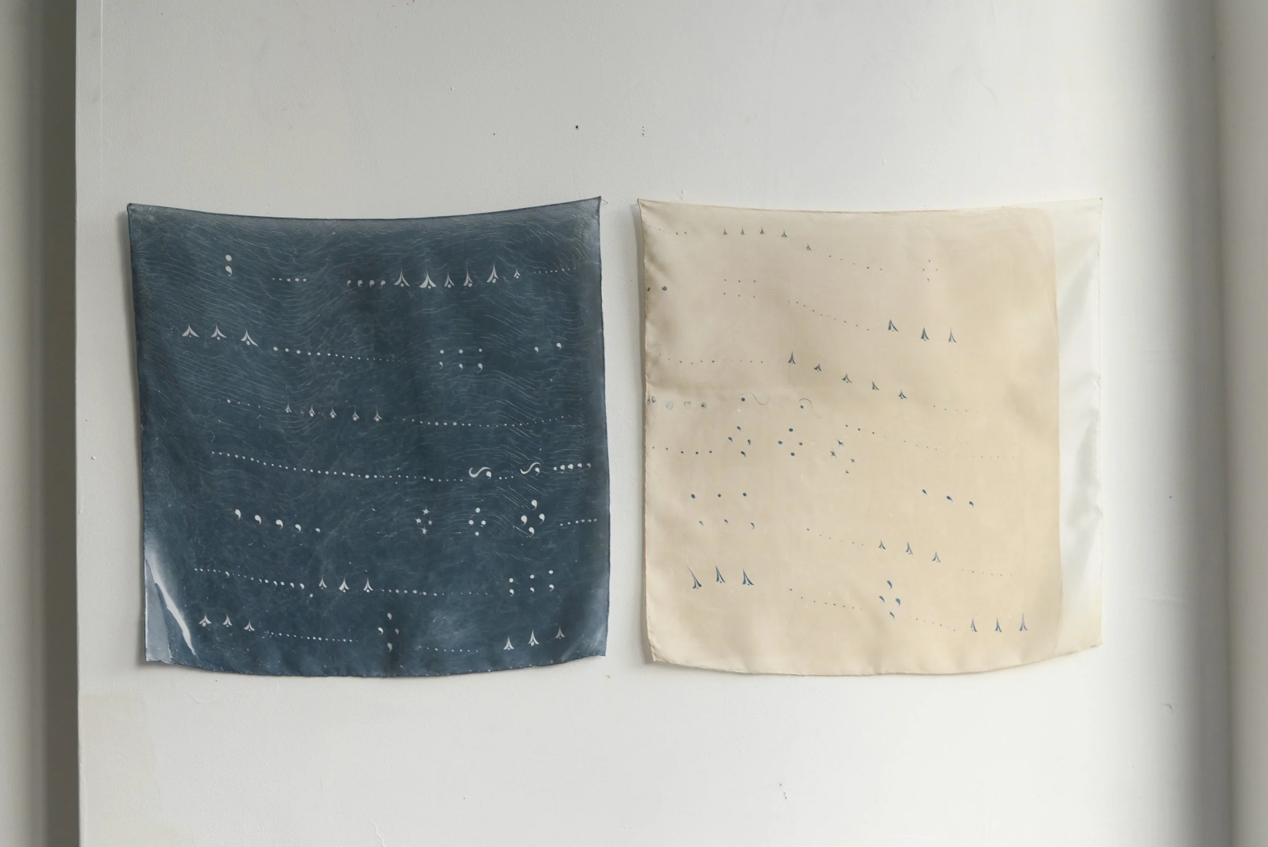 Aeronautical Shorthand Diptych (Night and Day Flight), 2026