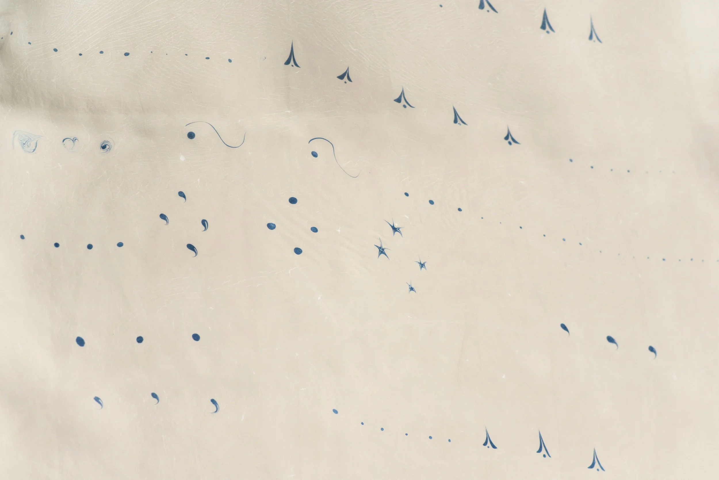 Detail: Aeronautical Shorthand Diptych (Day Flight), 2026