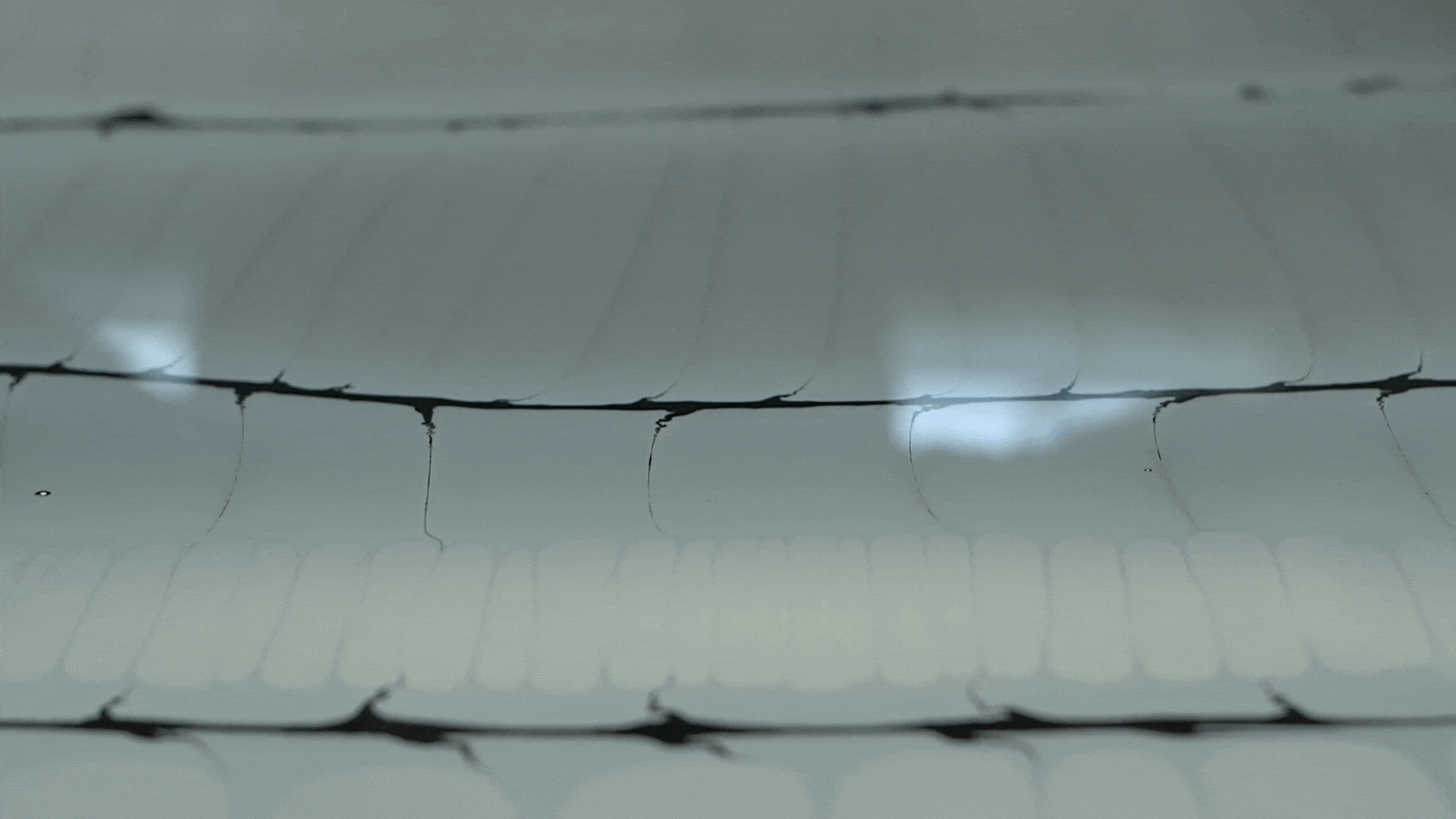 Bones Marbling Video (4).gif