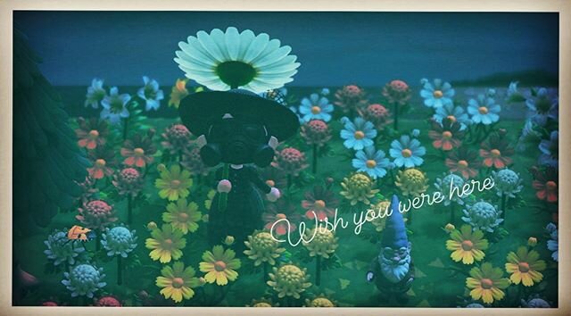 From Parfait Island, with love. 🌼🌼🌼 #postcard #animalcrossingnewhorizons #animalcrossing #spring #may #mayqueen