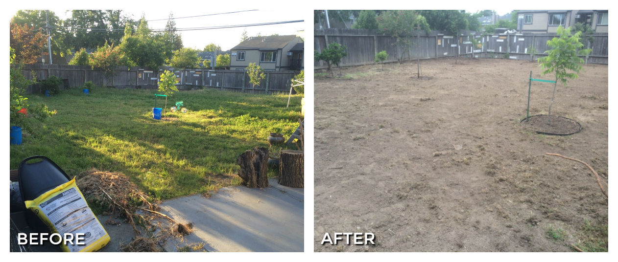 yard 2 before and after.png