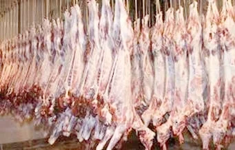 slaughterhouse.jpeg