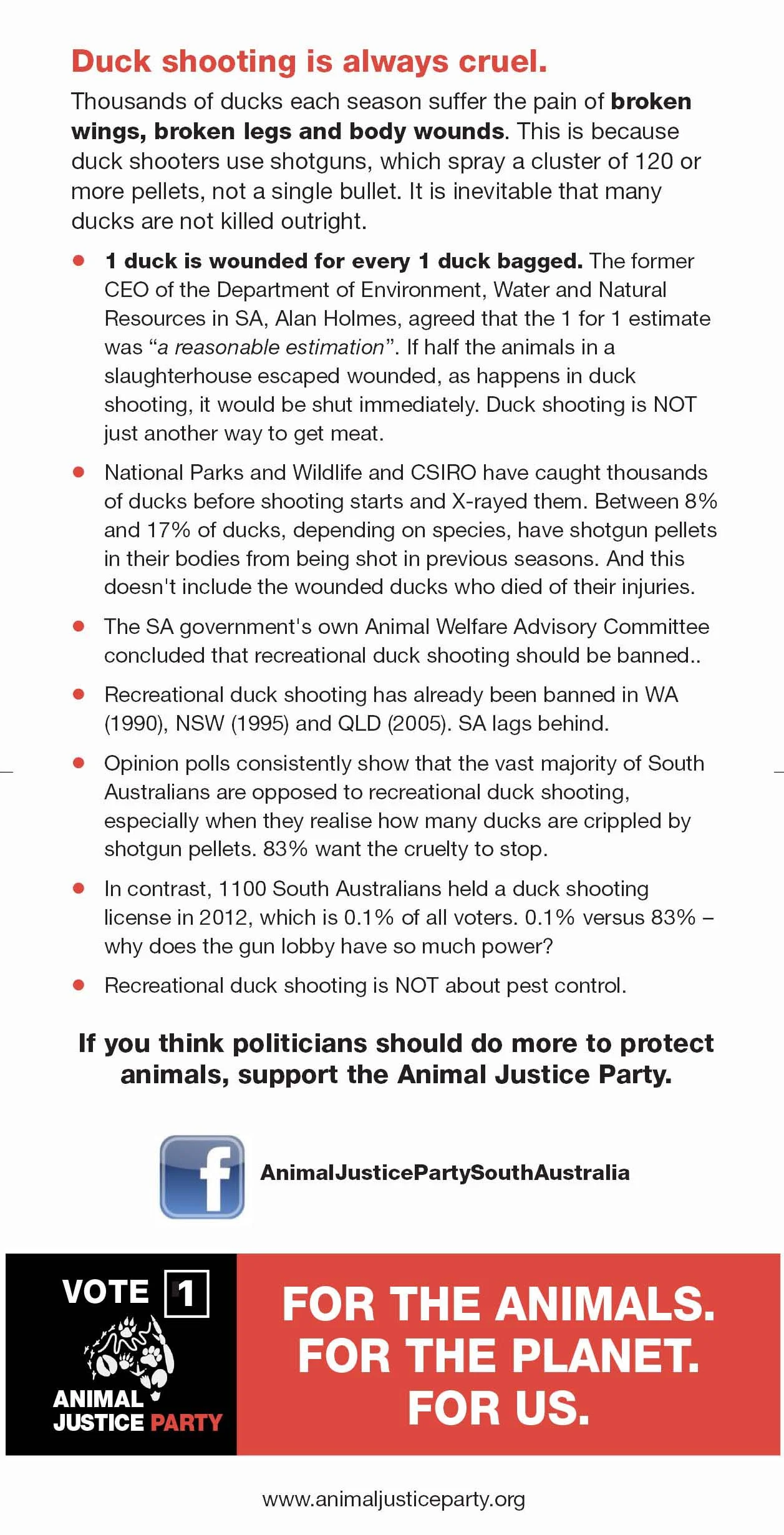 Final duck DL leaflet-2.jpg