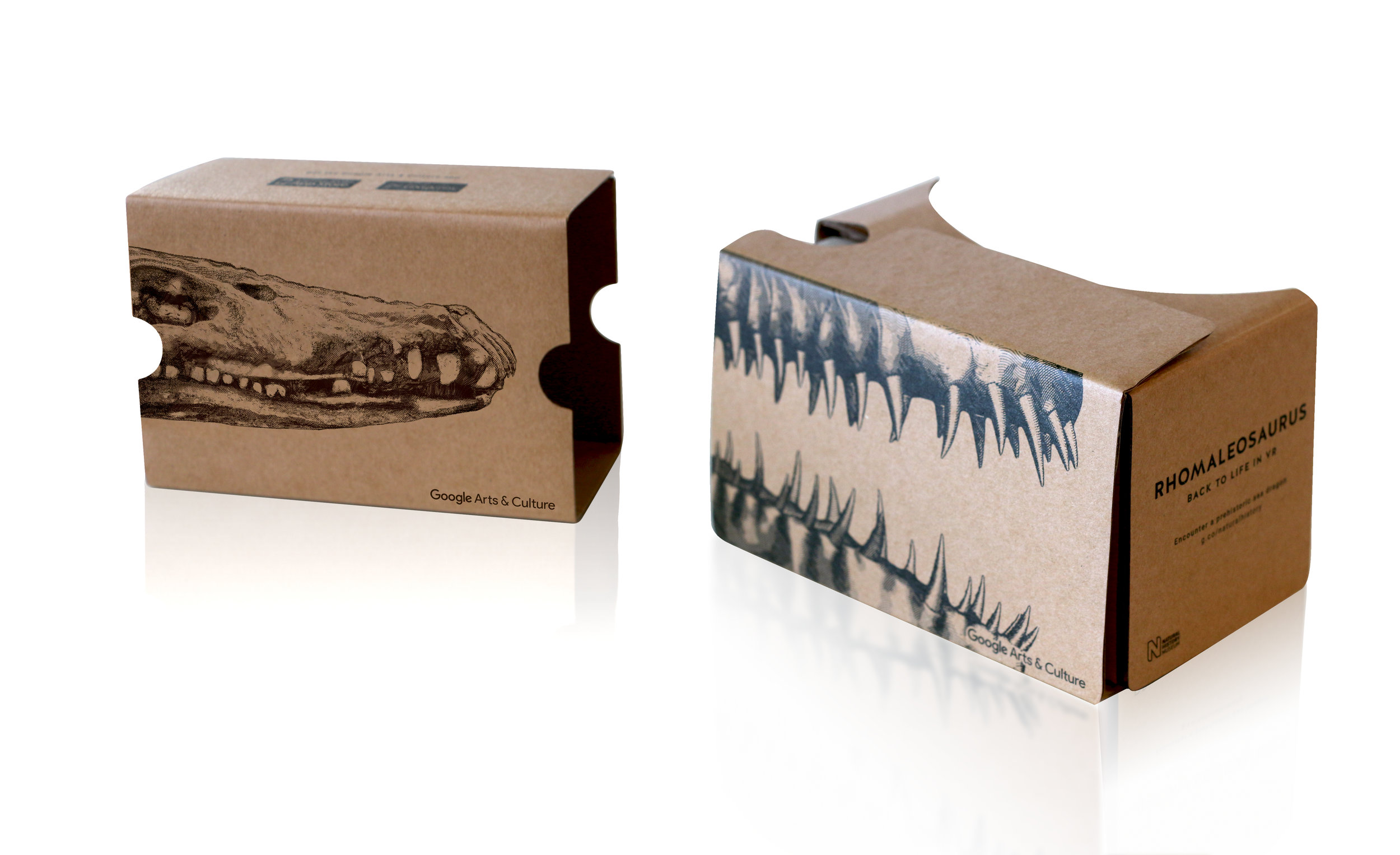 Rhomaleosaurus Cardboard 2.jpg