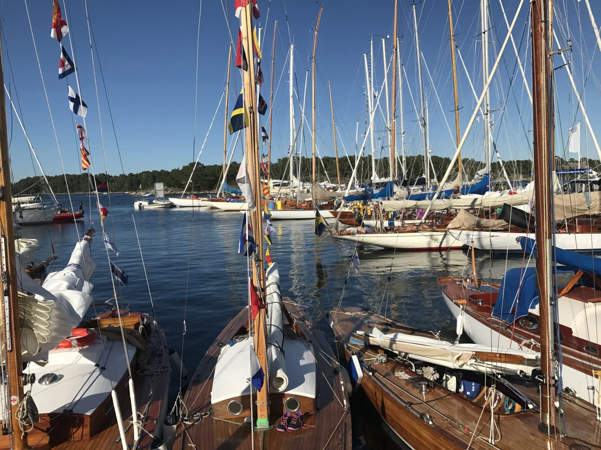 Regattadeltagare.