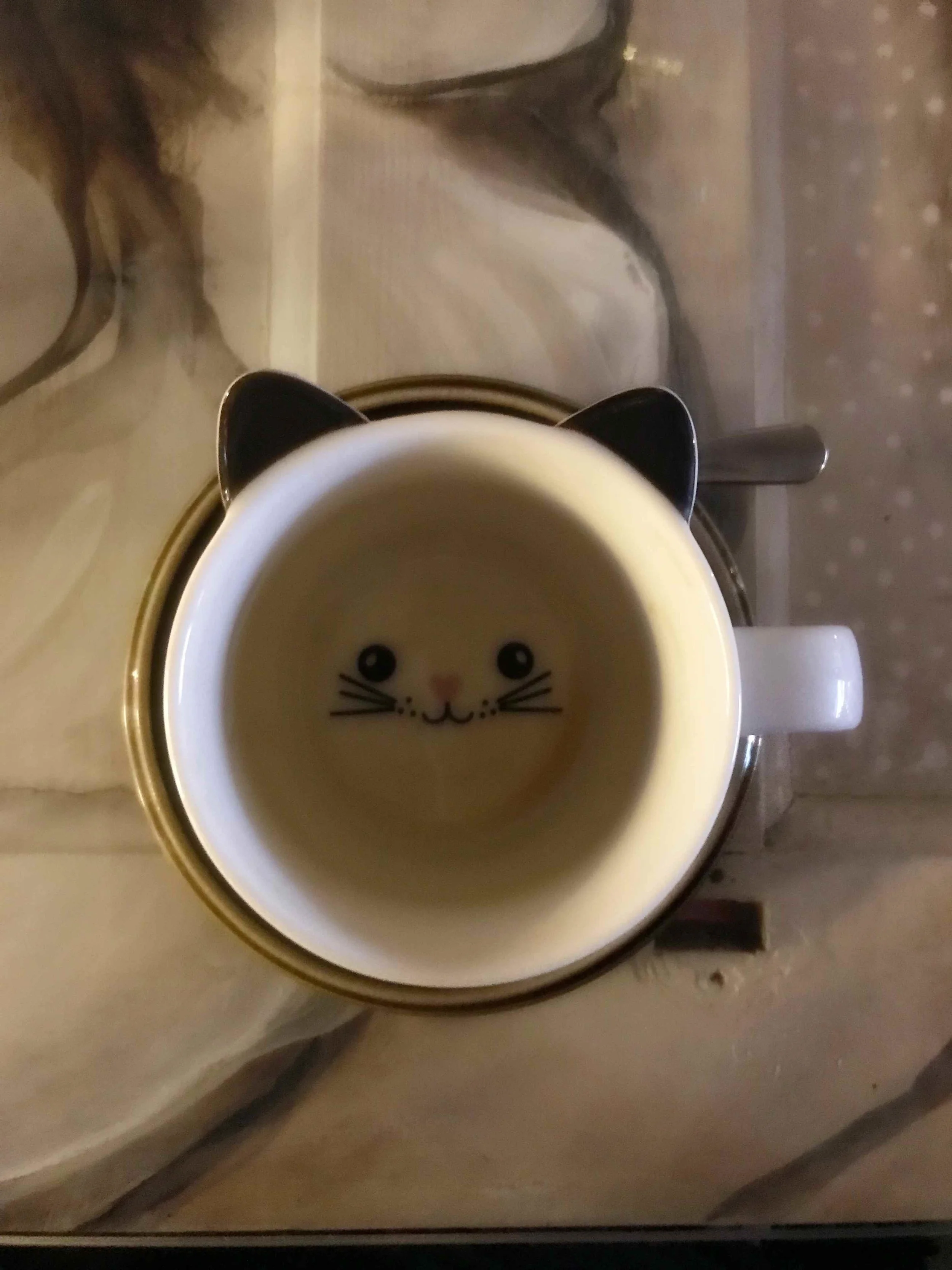 Cat Cup.jpg