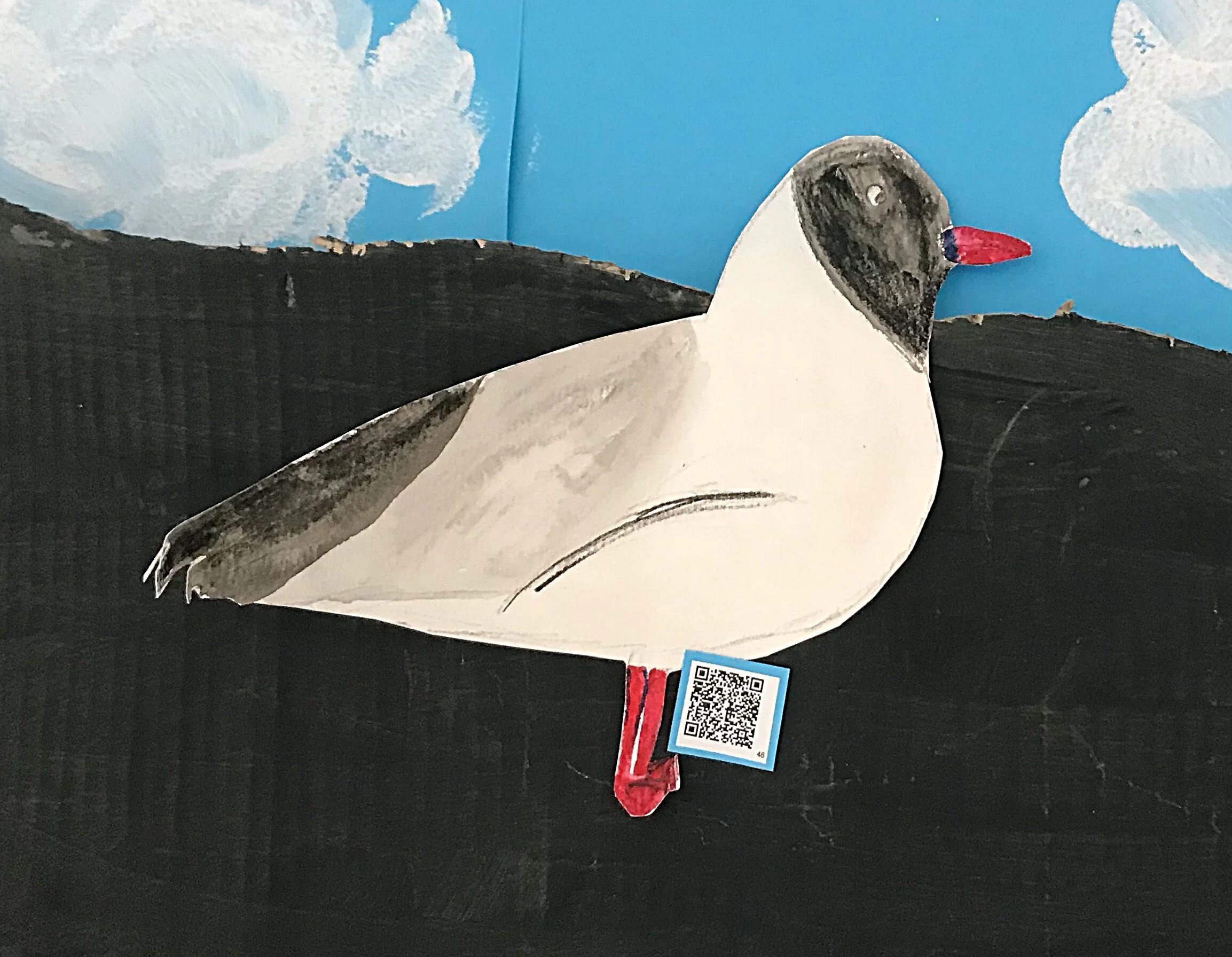 laughing seagull edit.jpg