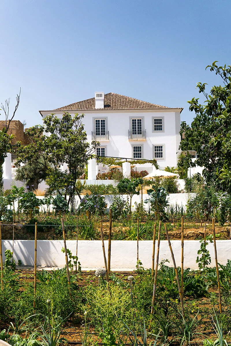 Well Travelled  |  Casa Mae