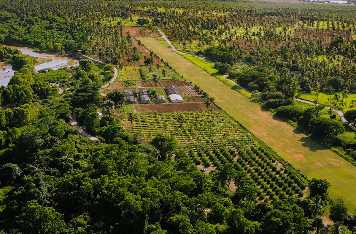 biodynamic banner.jpg
